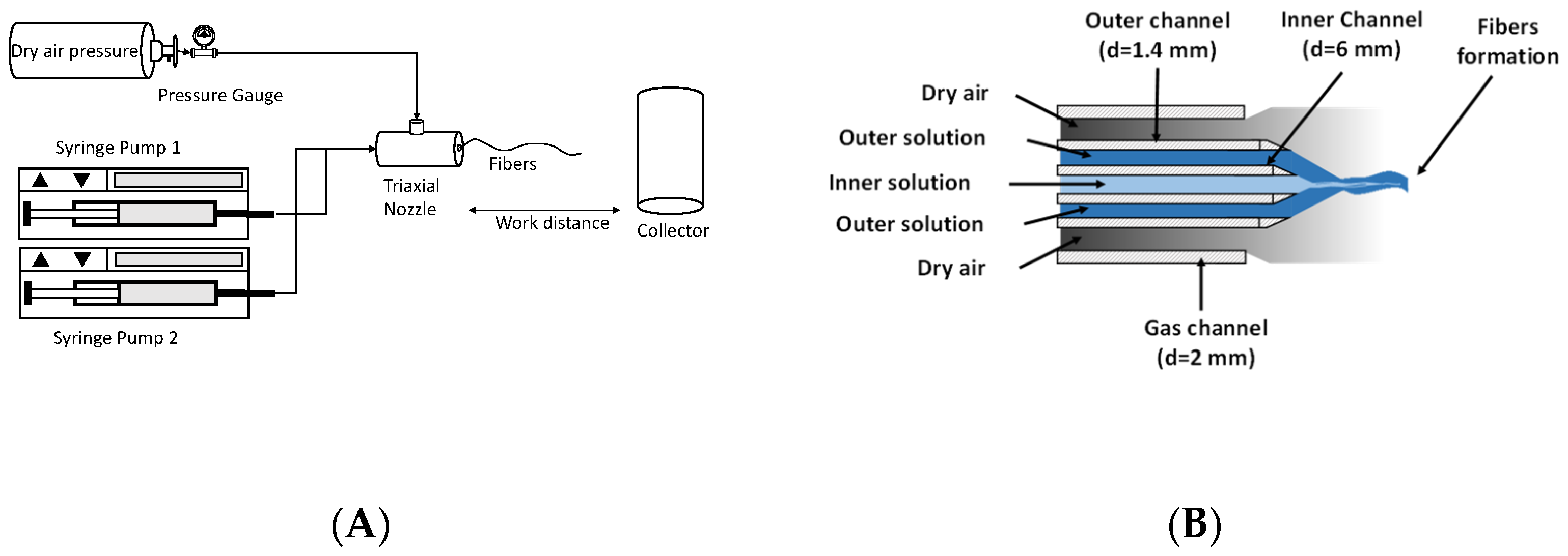 Polymers 15 03402 g001