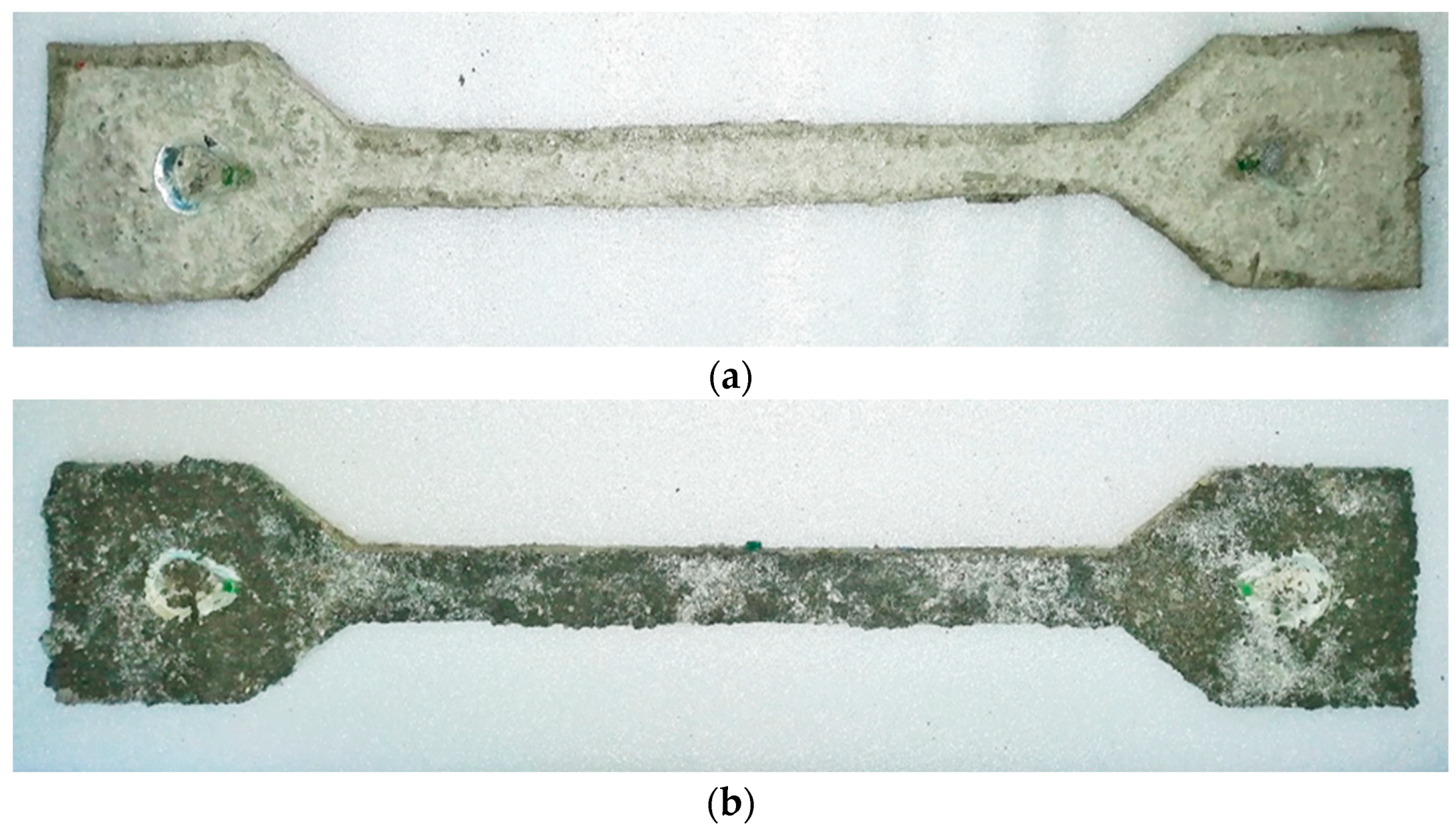 Polymers 15 03407 g012