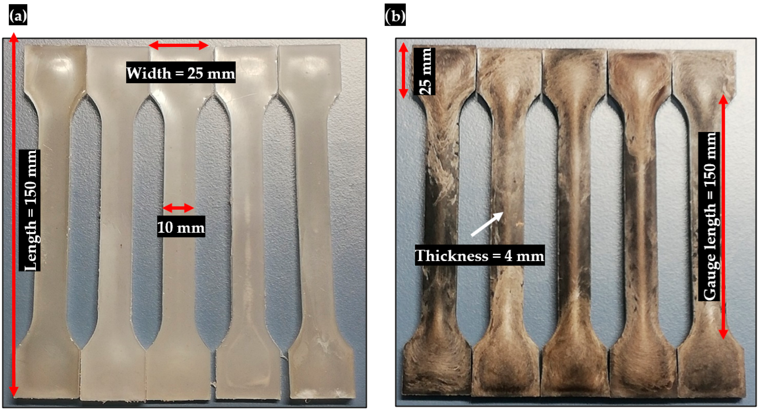 Polymers 15 03410 g003