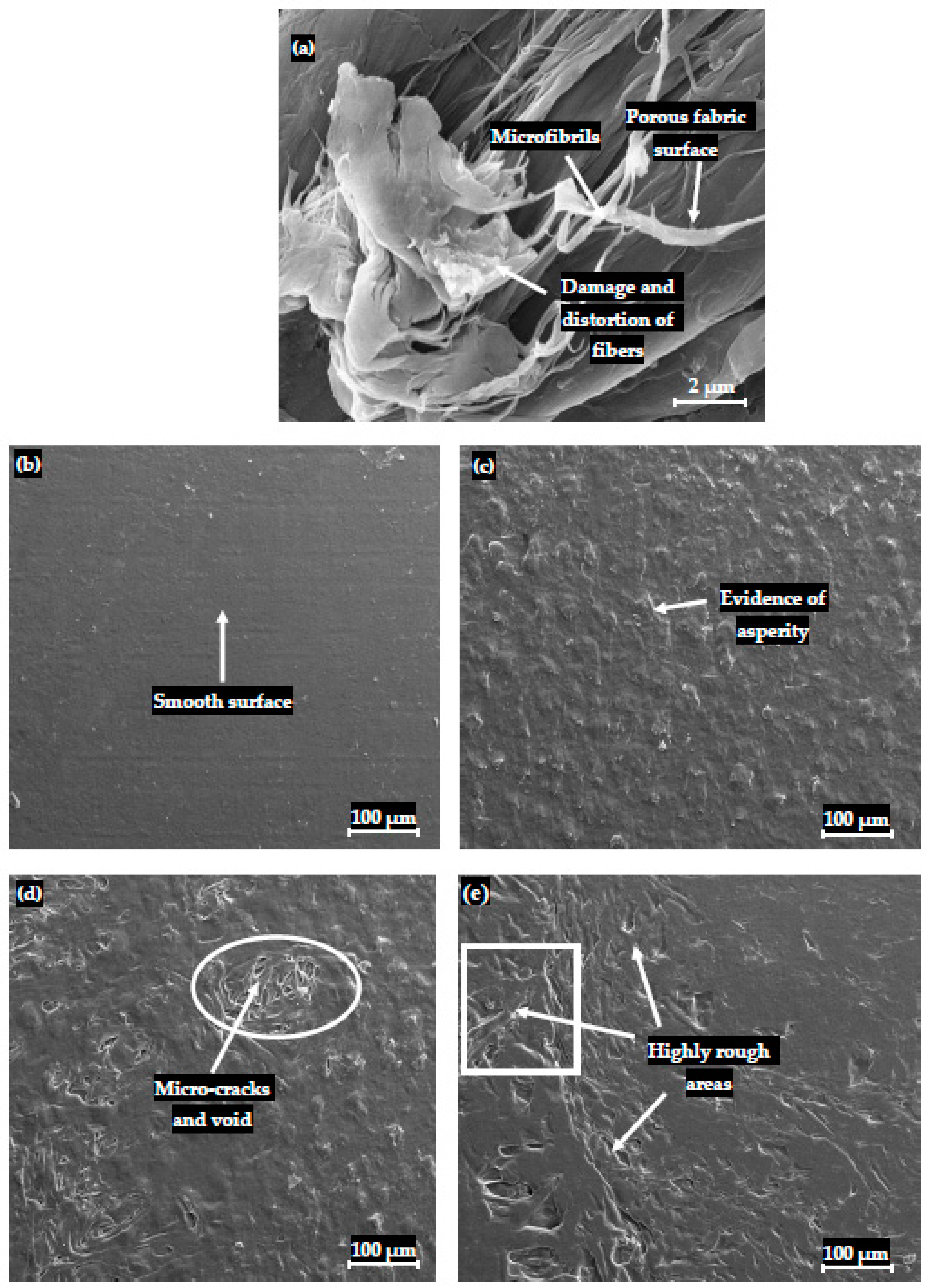 Polymers 15 03410 g007