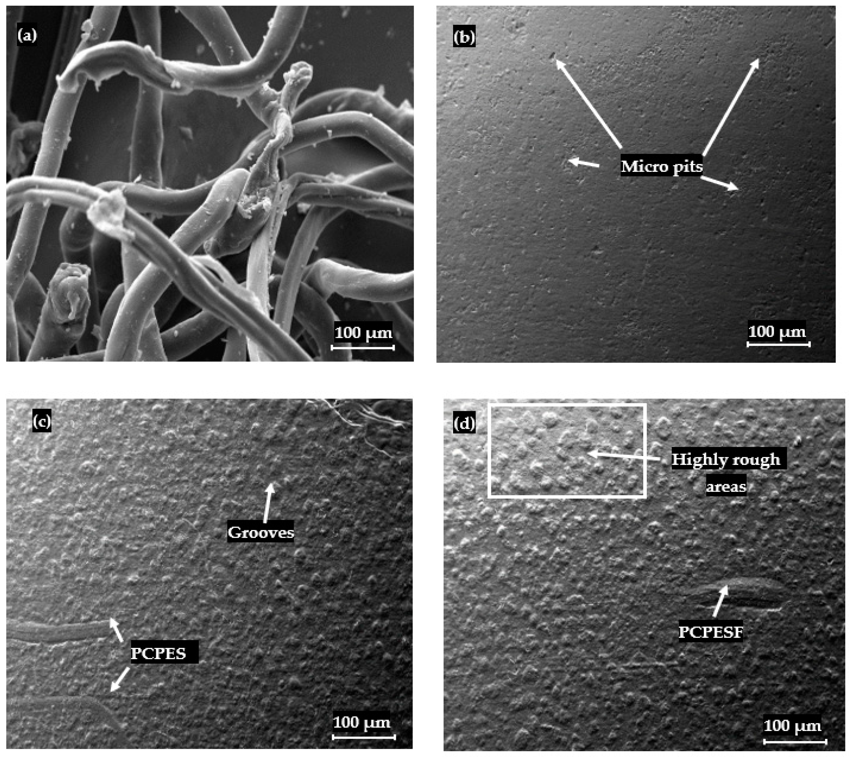 Polymers 15 03410 g008