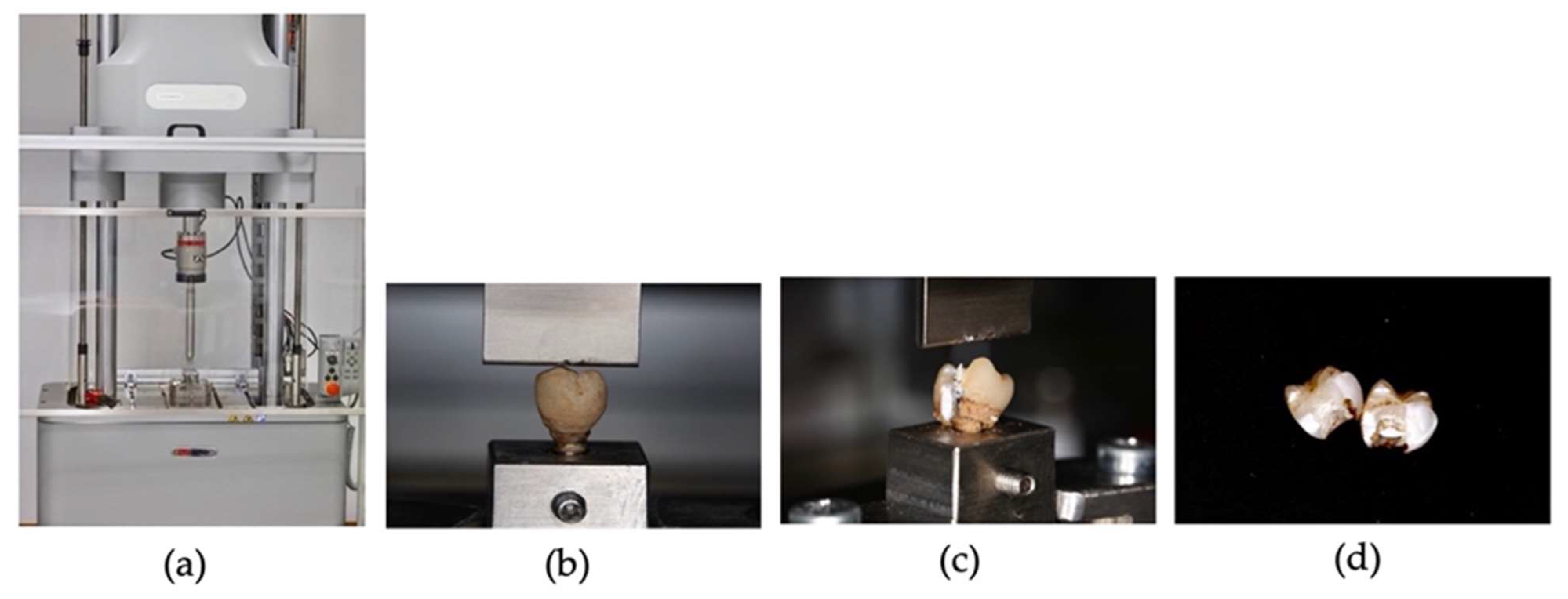 Polymers 15 03411 g003 Polymers 15 03411 g003