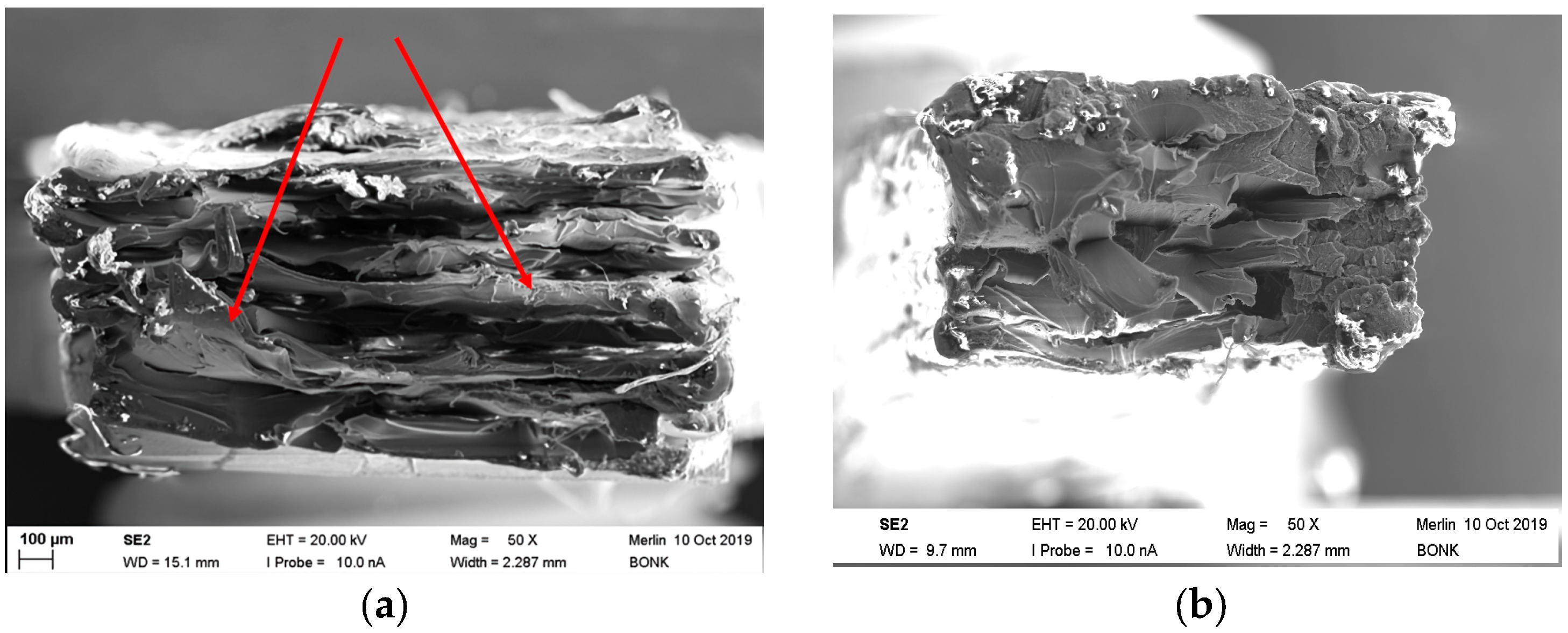 Polymers 15 03412 g008 Polymers 15 03412 g008