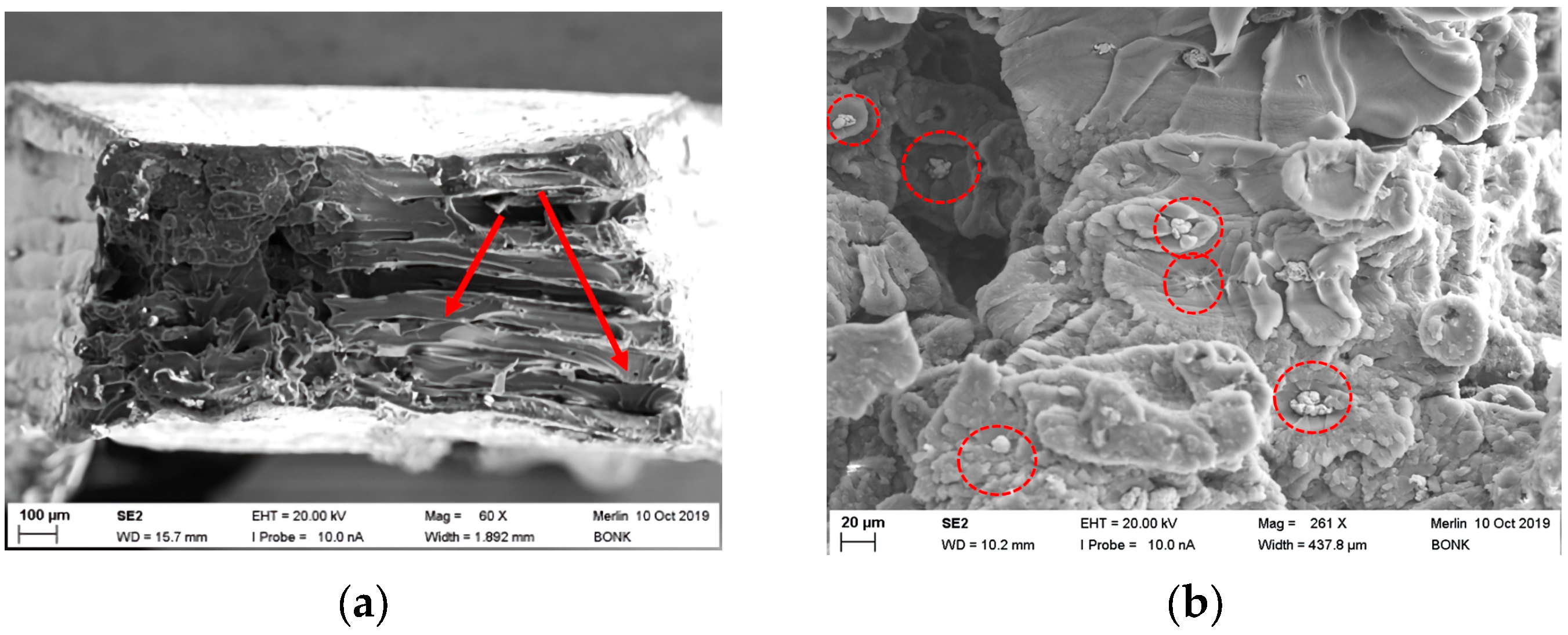 Polymers 15 03412 g010 Polymers 15 03412 g010