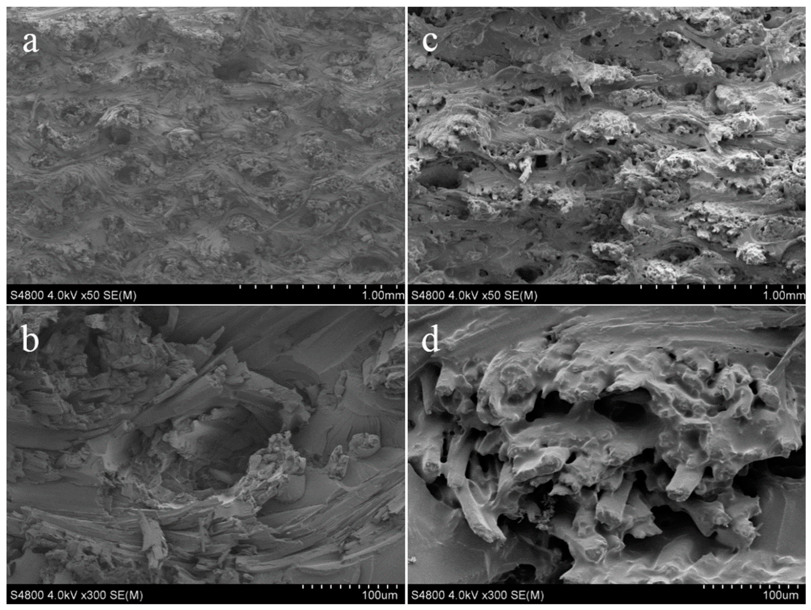 Polymers 15 03414 g001 Polymers 15 03414 g001