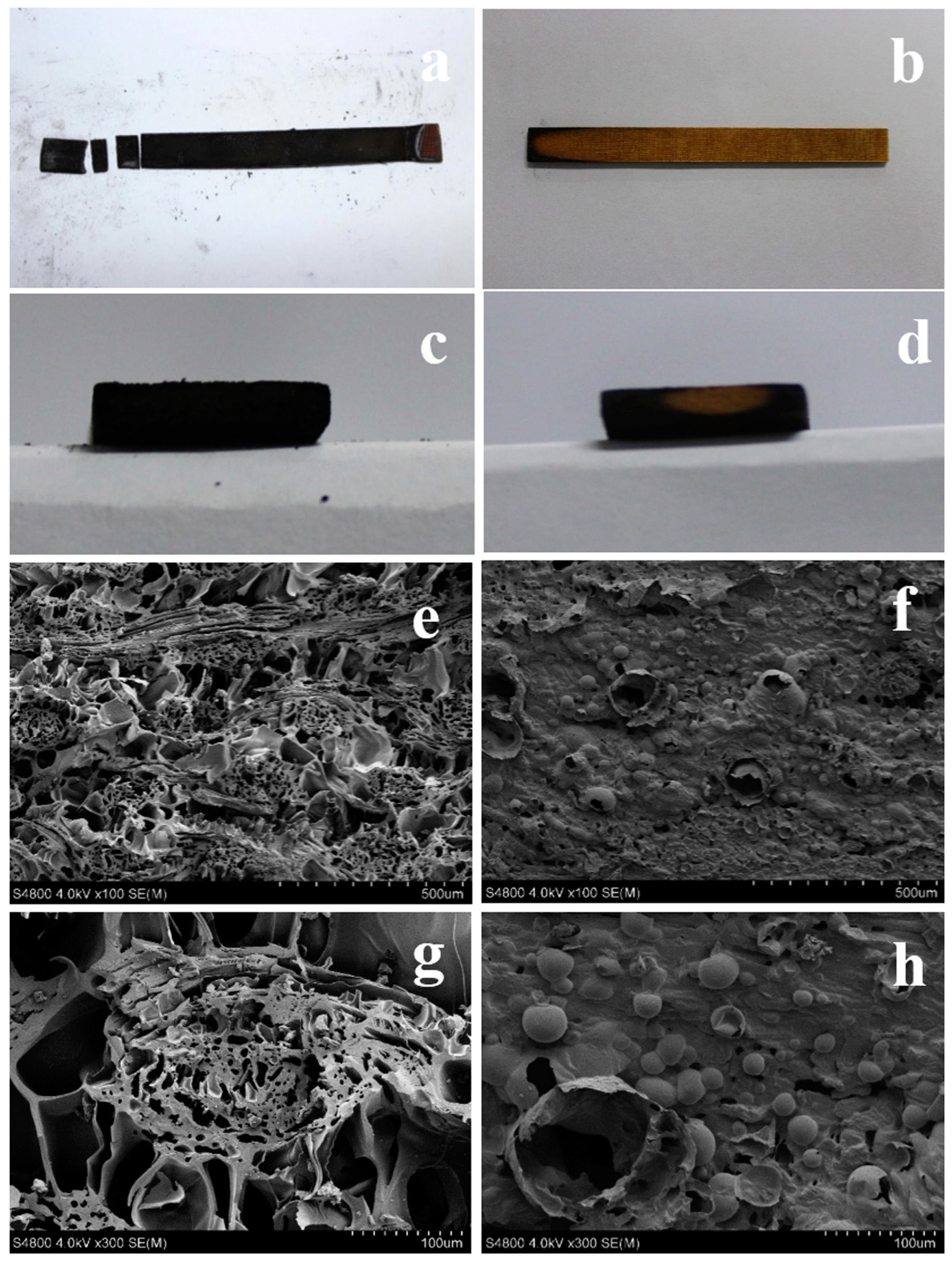 Polymers 15 03414 g009 Polymers 15 03414 g009