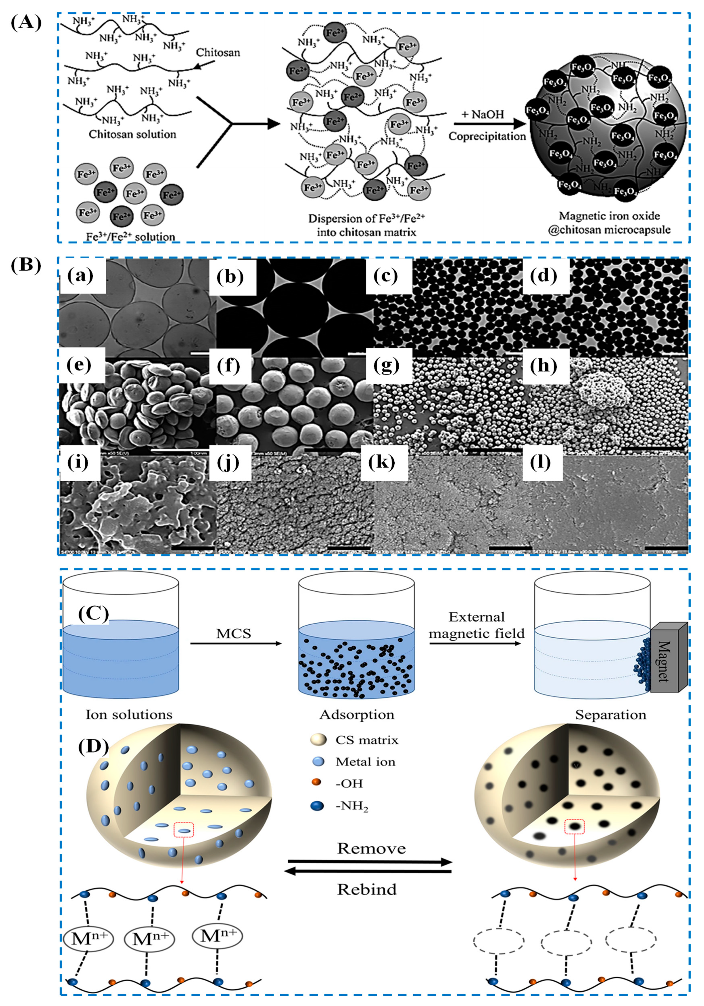 Polymers 15 03421 g012 Polymers 15 03421 g012