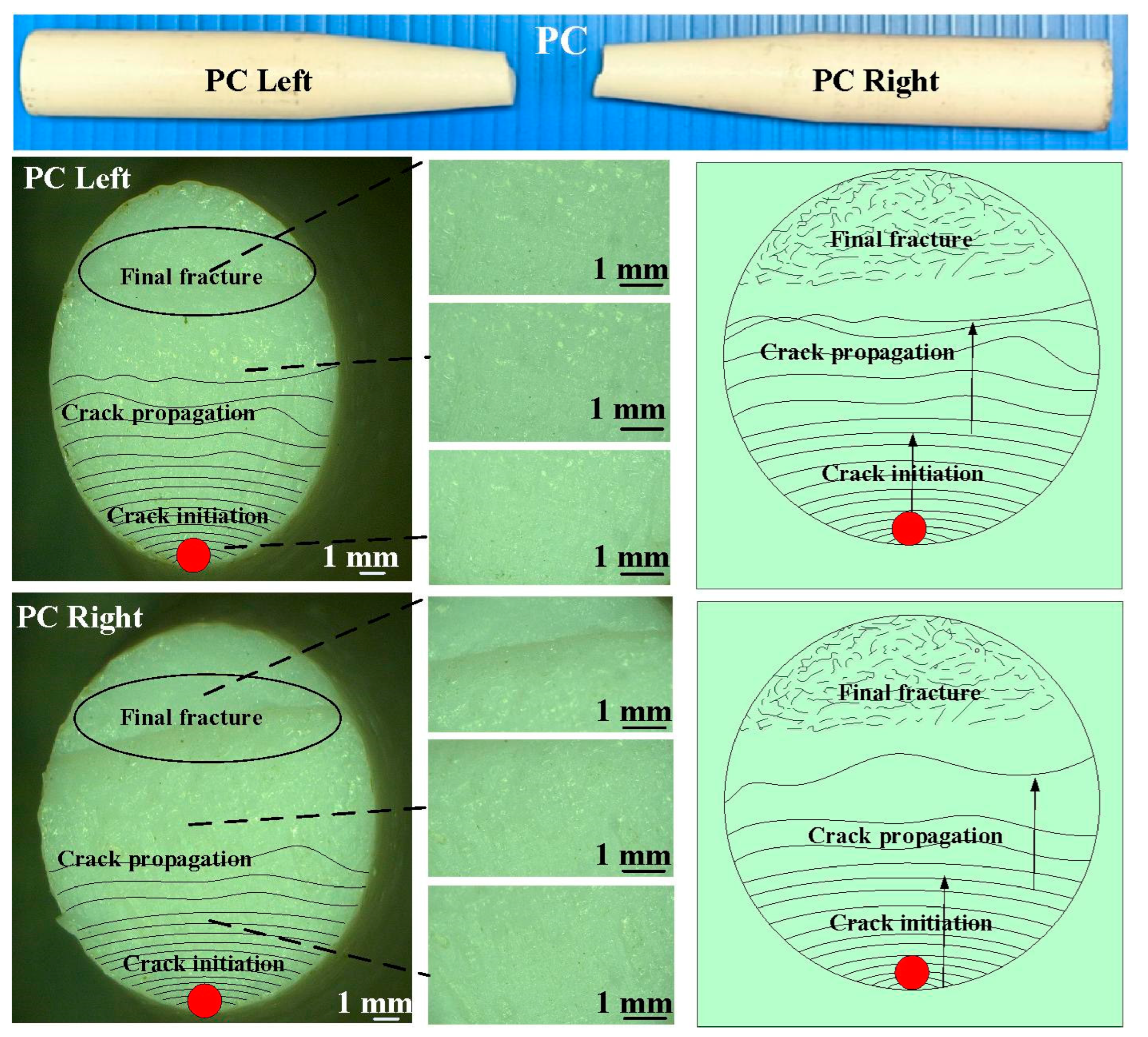 Polymers 15 03424 g007