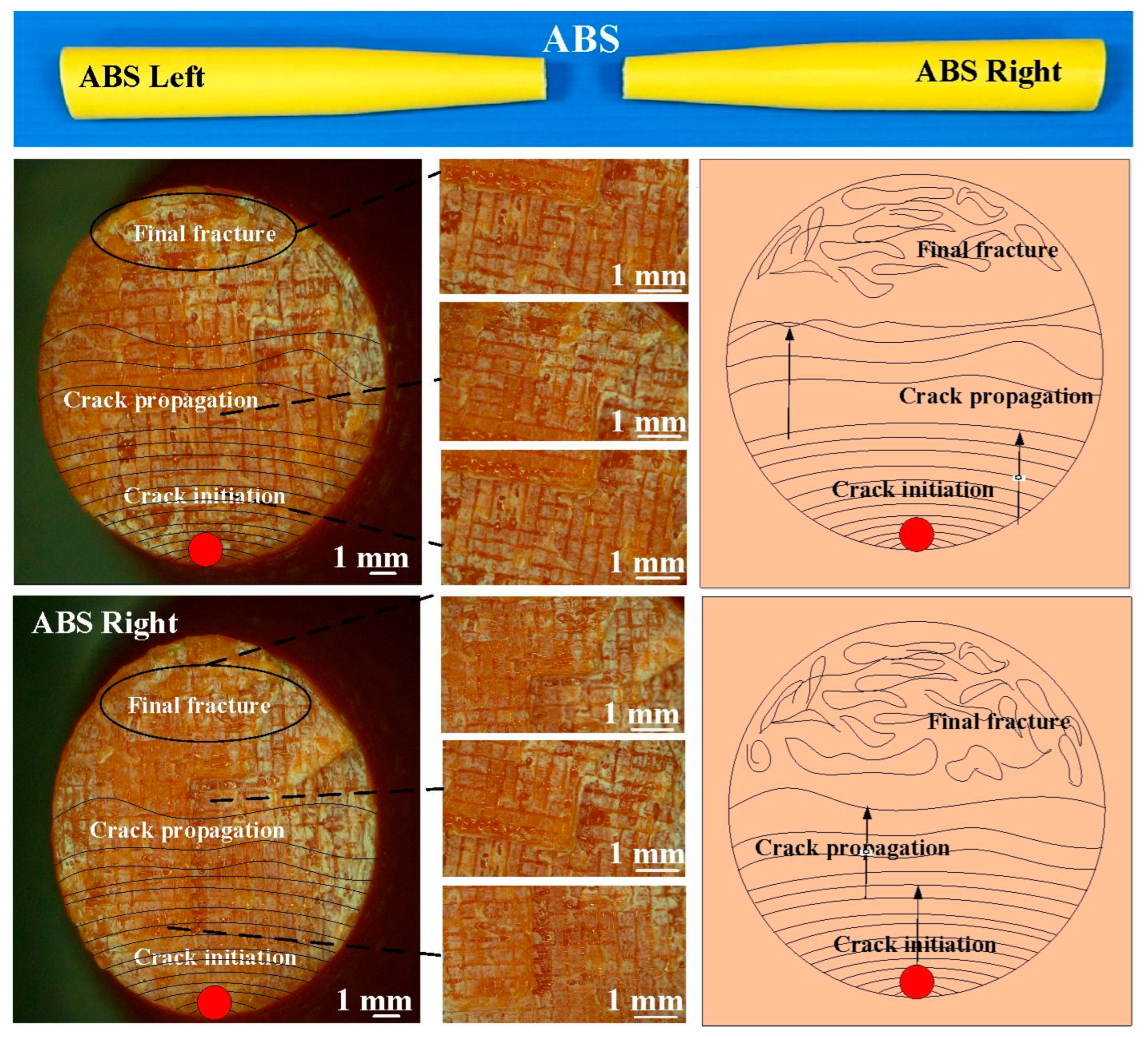 Polymers 15 03424 g008