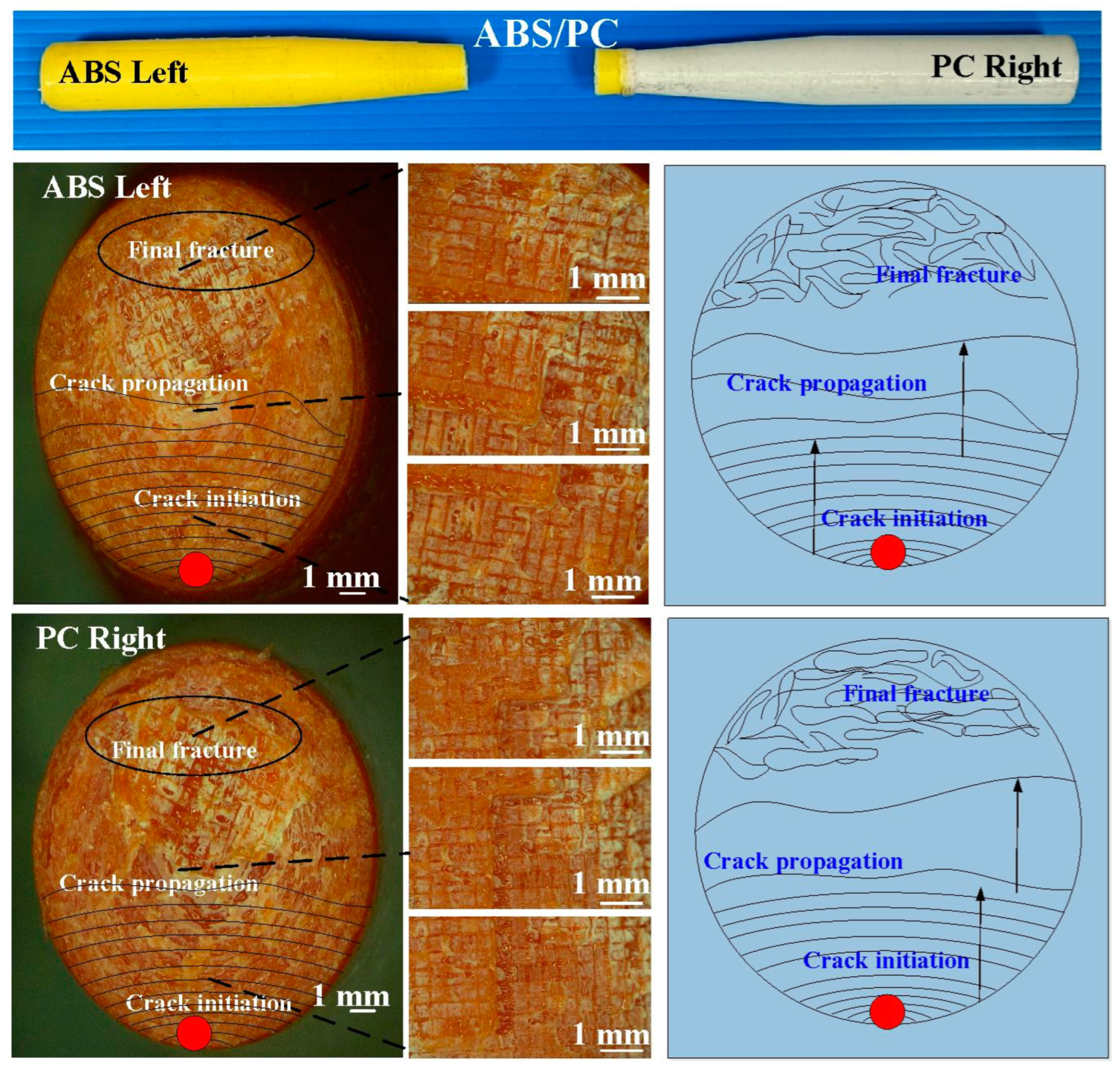 Polymers 15 03424 g009