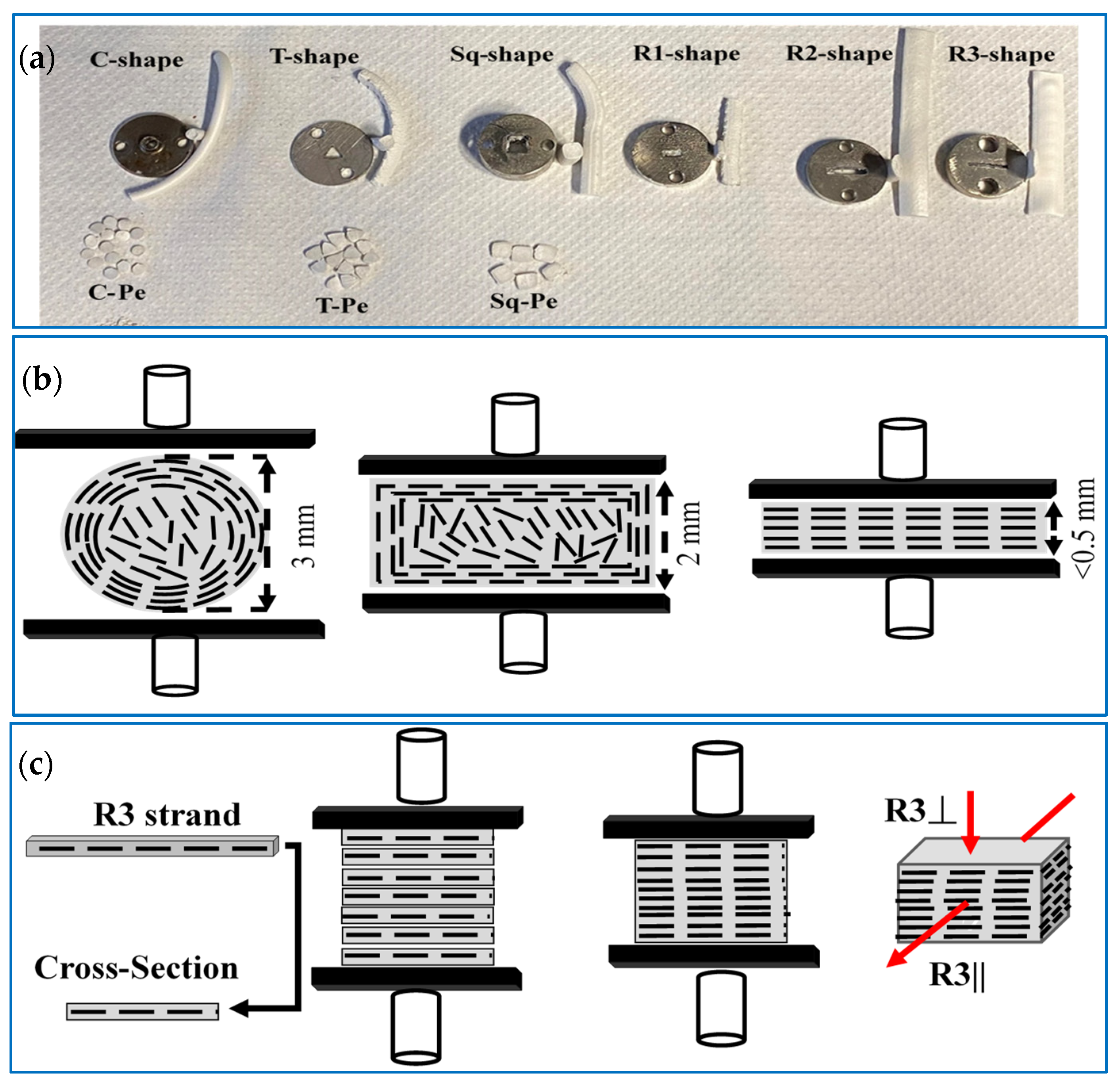 Polymers 15 03426 g002