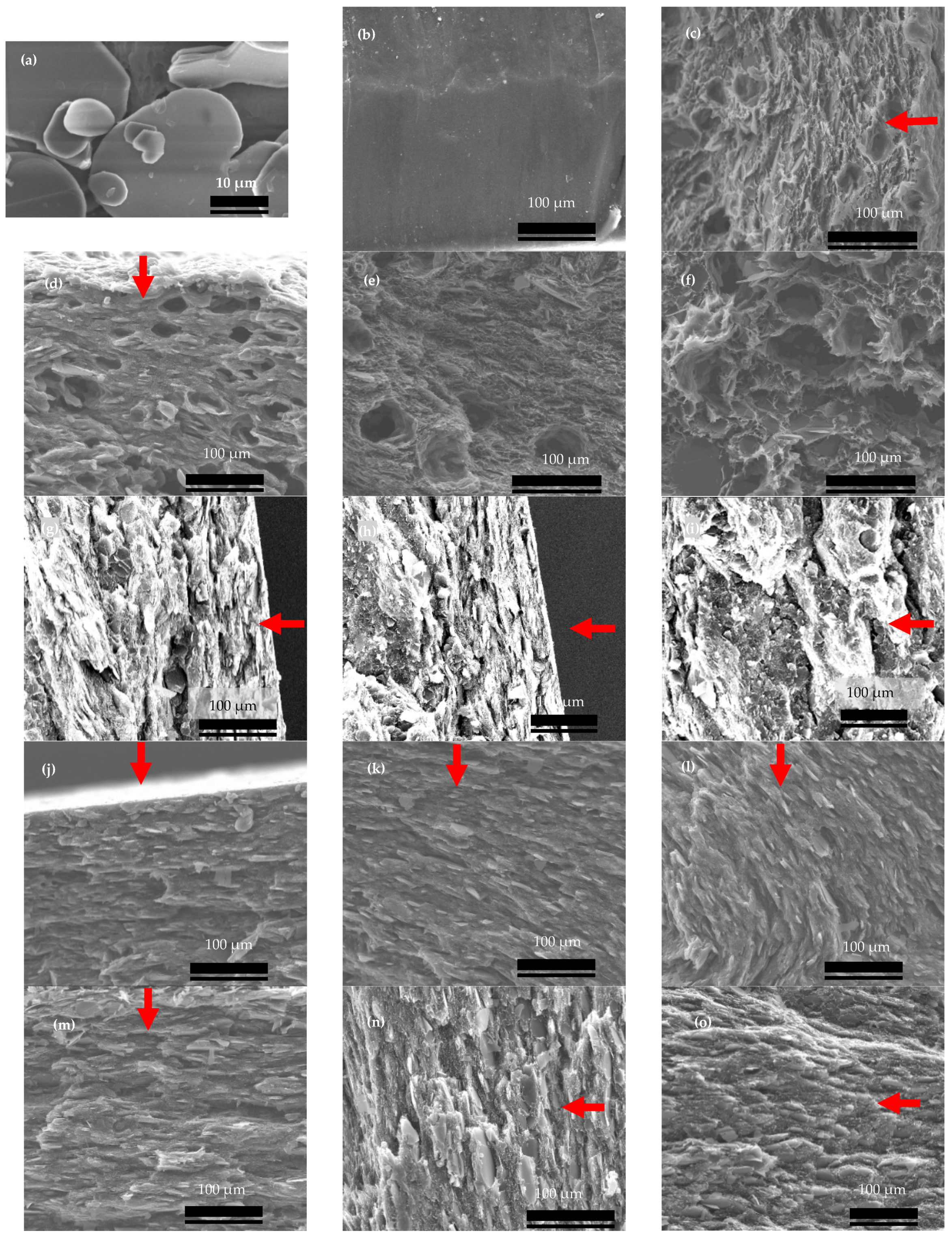 Polymers 15 03426 g003