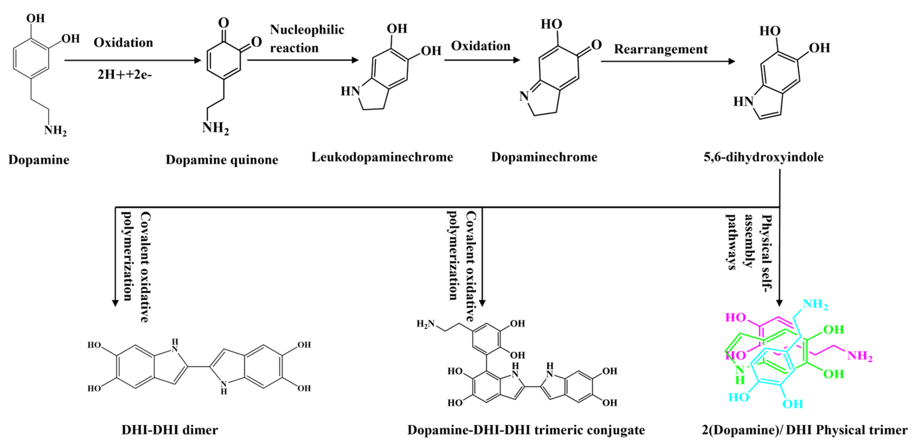 Polymers 15 03428 g001