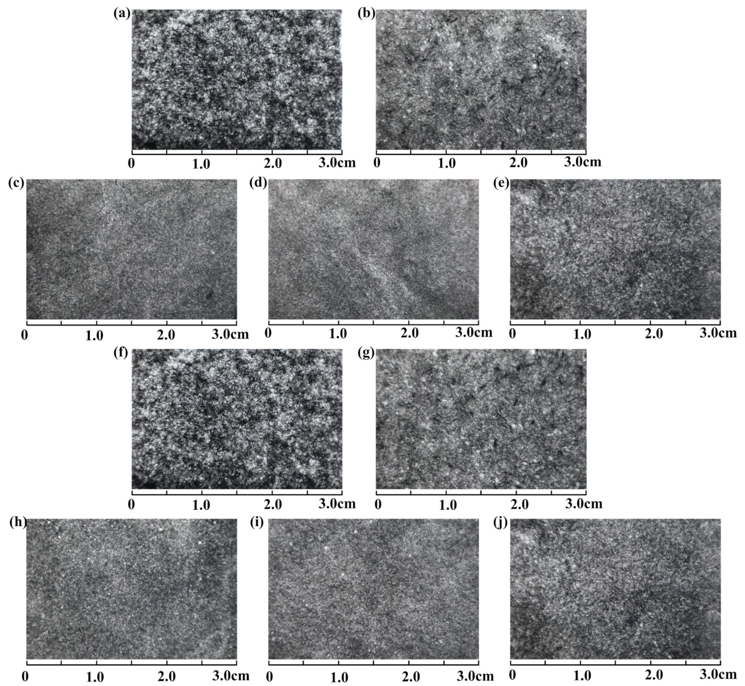 Polymers 15 03428 g008