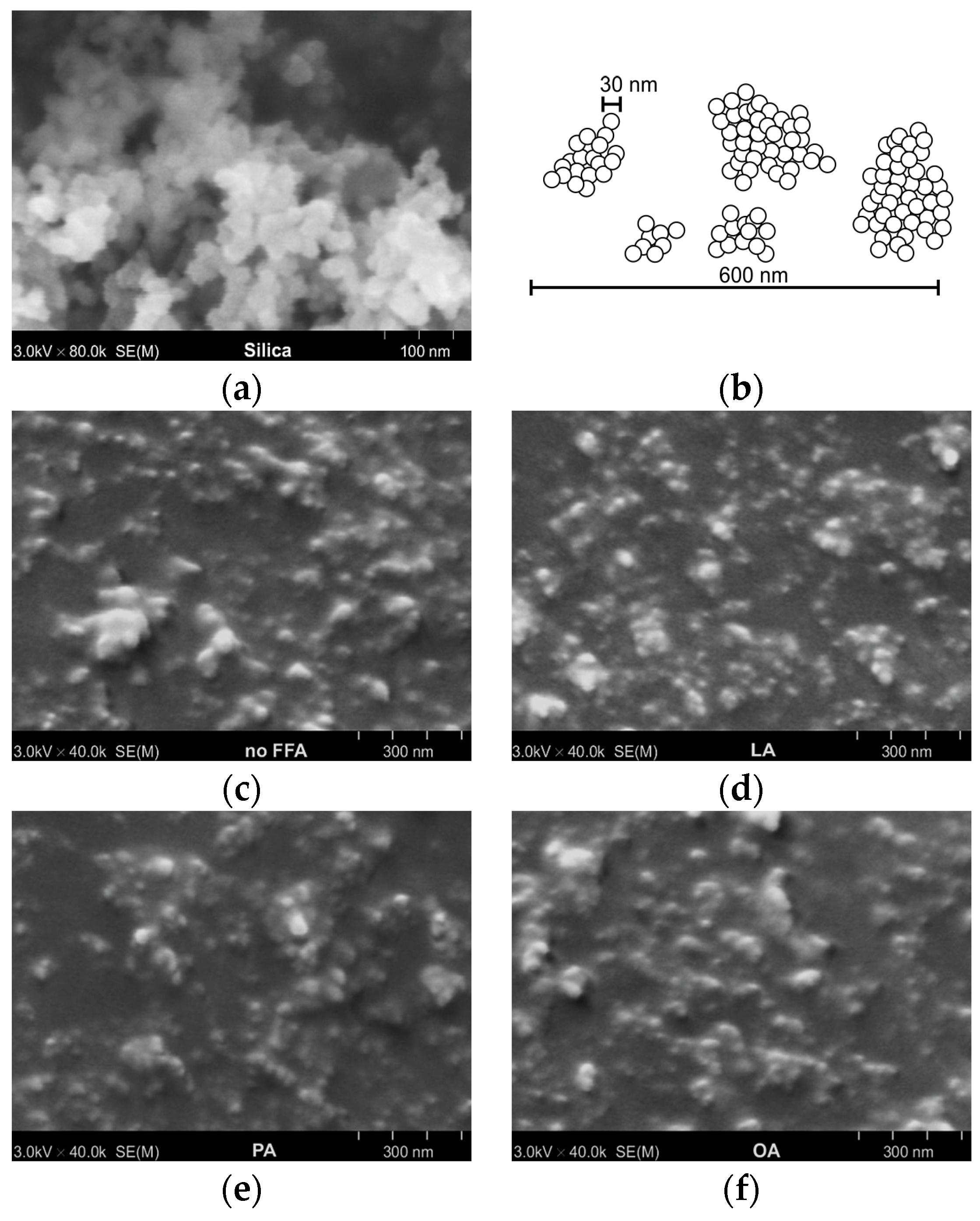 Polymers 15 03429 g002