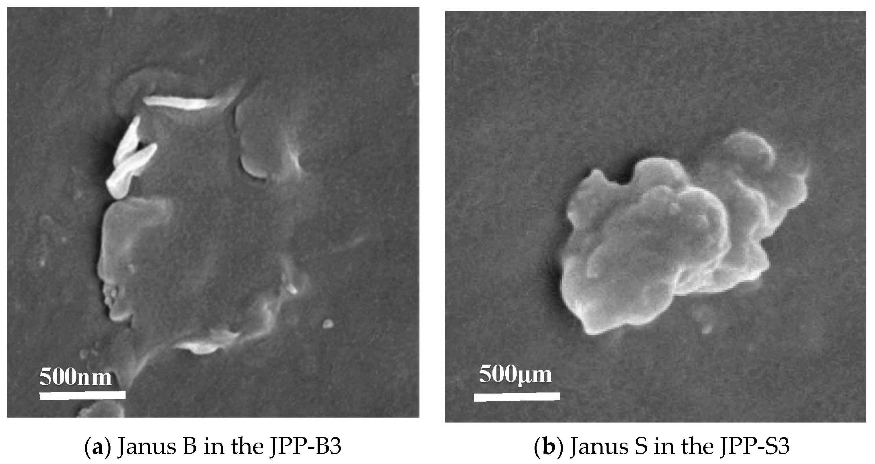 Polymers 15 03433 g002