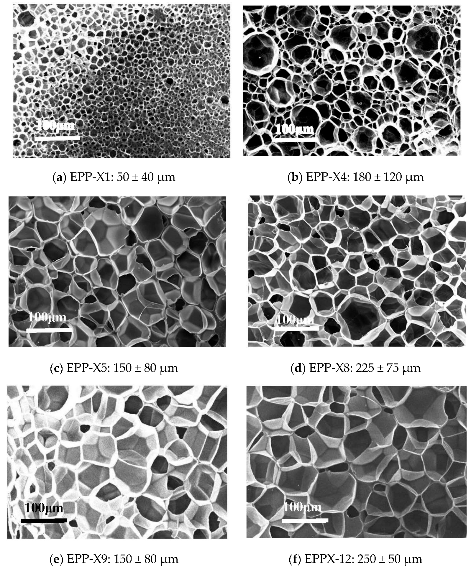 Polymers 15 03433 g009a