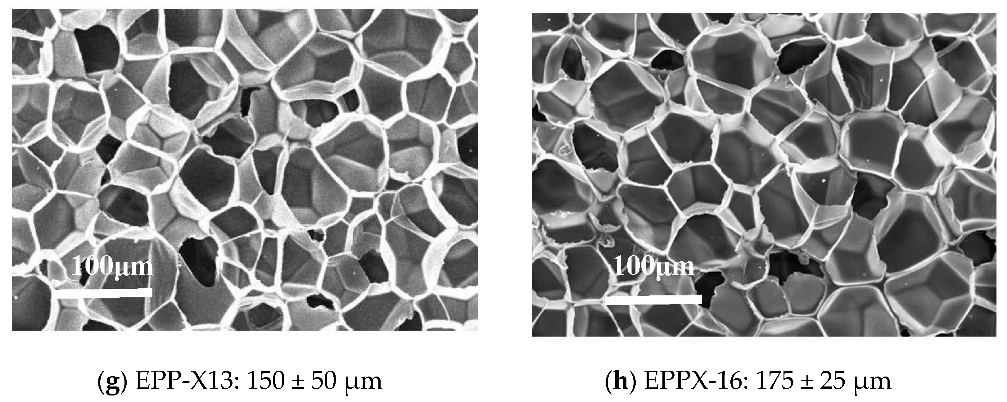Polymers 15 03433 g009b