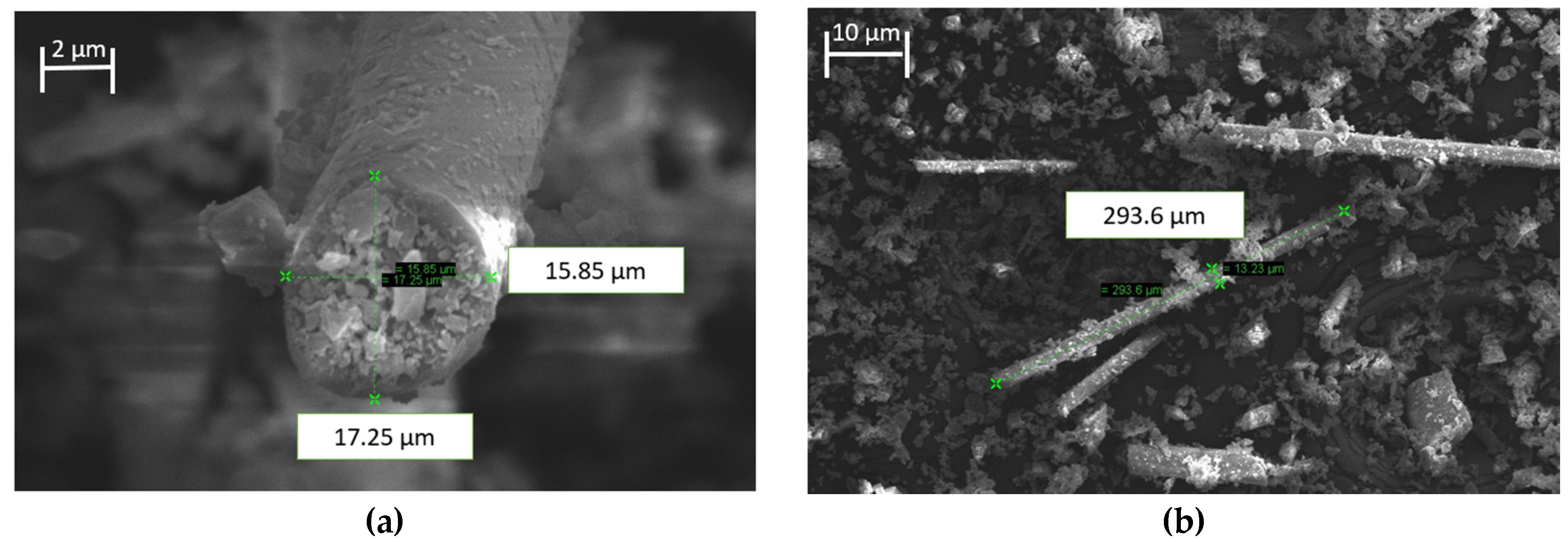 Polymers 15 03436 g003