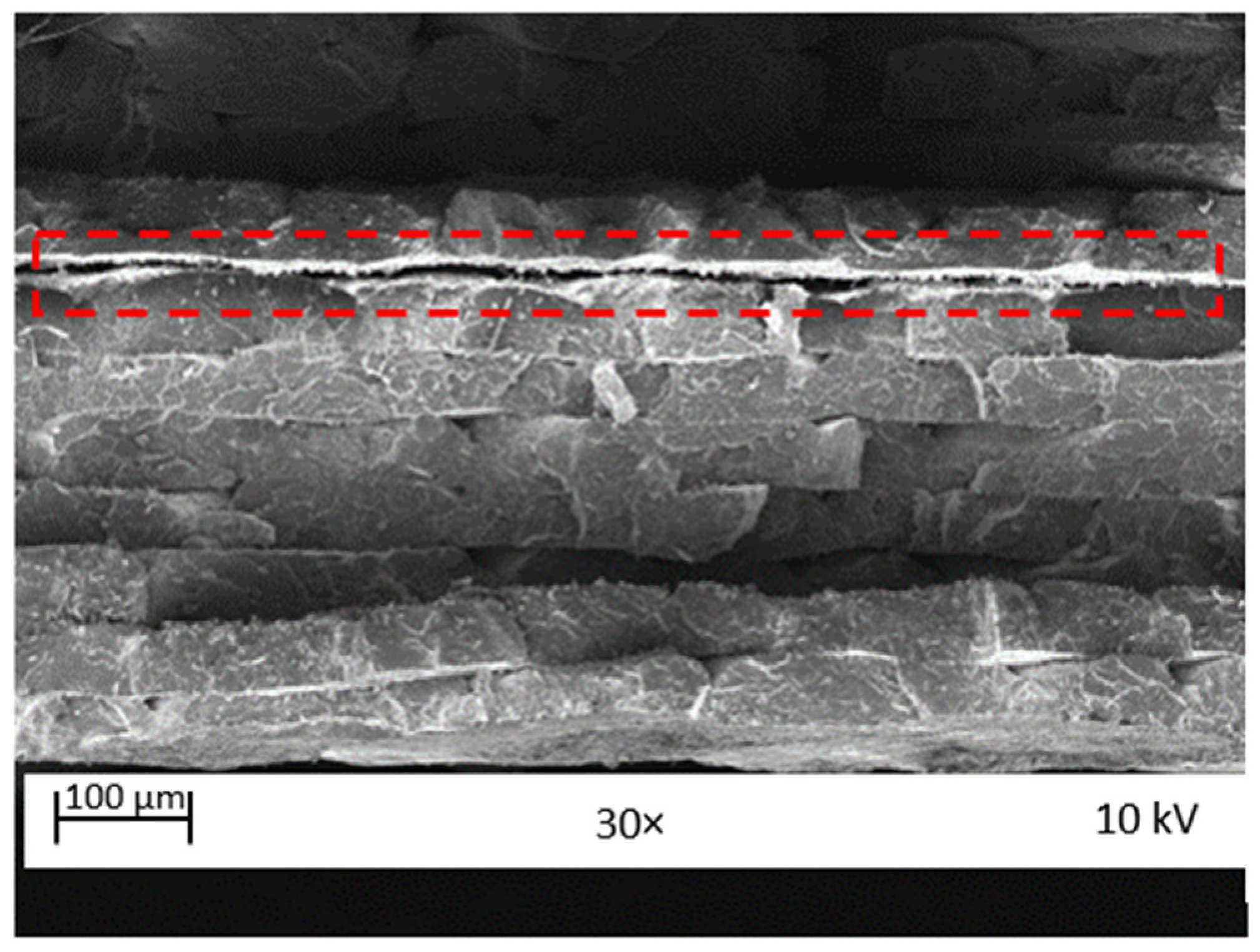 Polymers 15 03436 g008