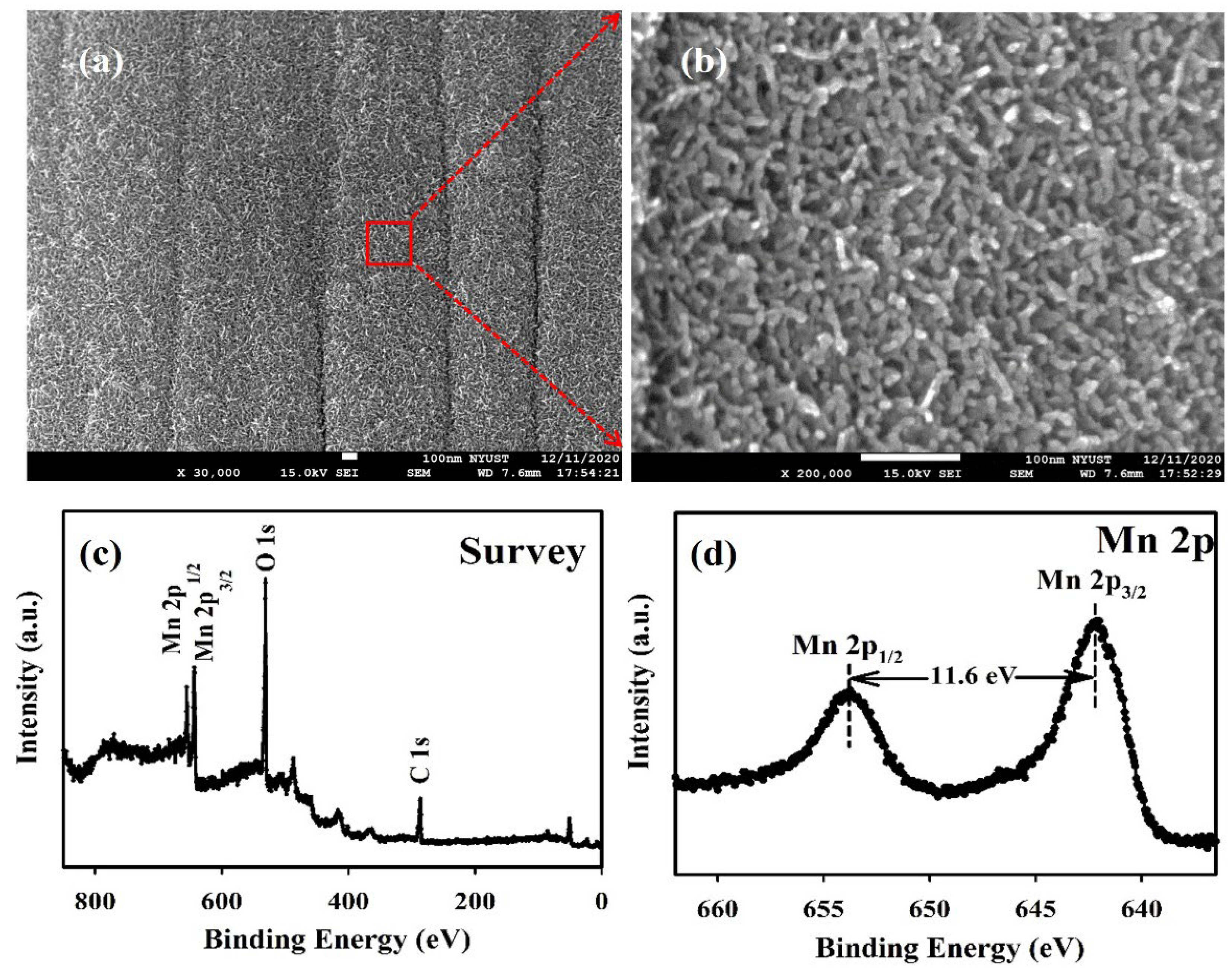 Polymers 15 03438 g001