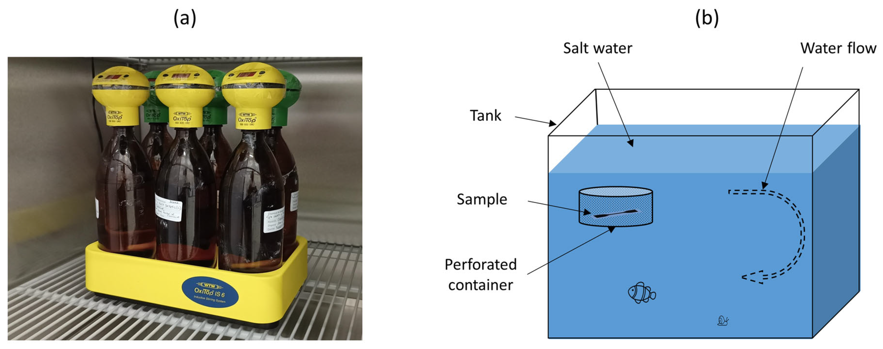 Polymers 15 03439 g002