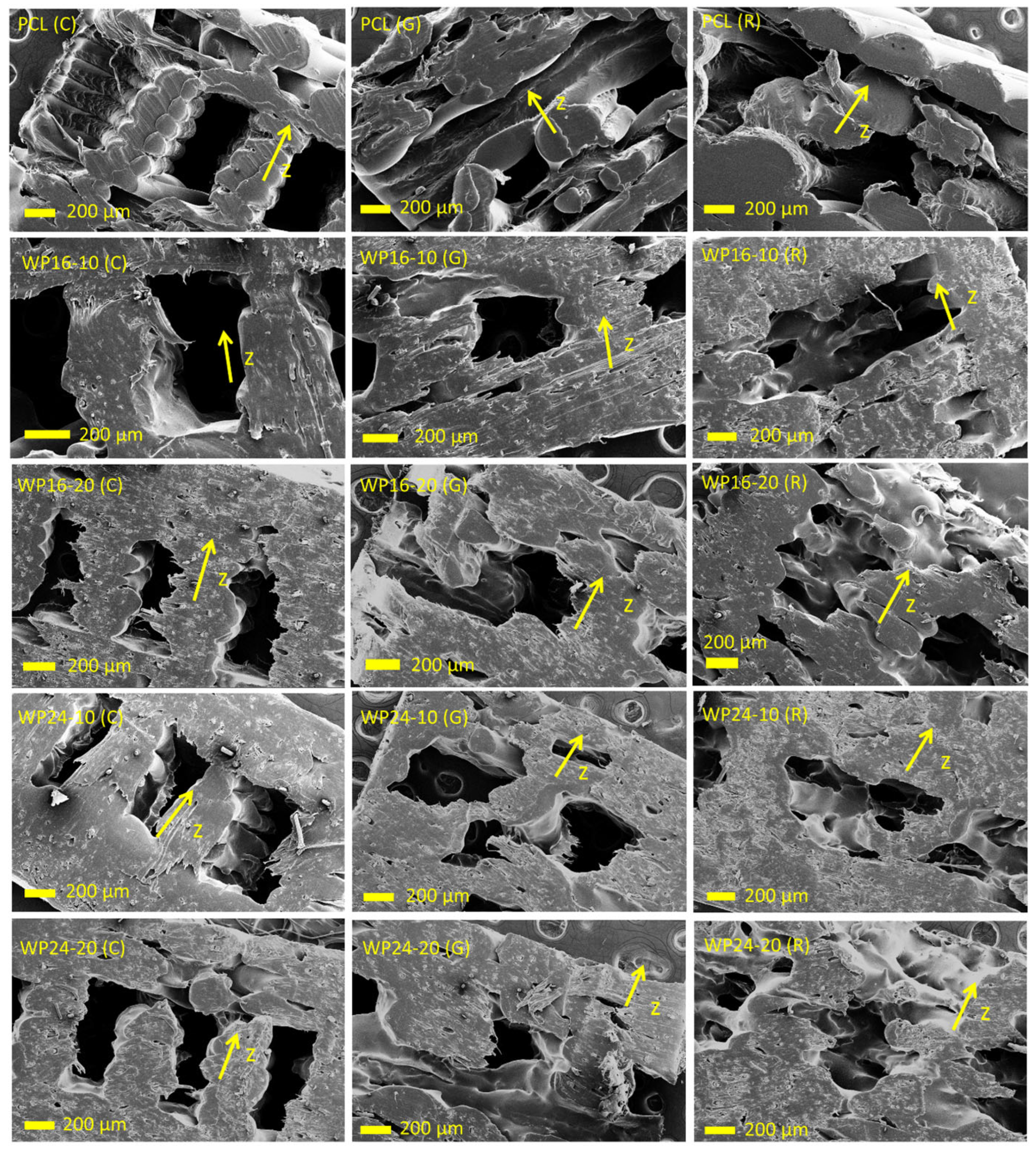 Polymers 15 03439 g008