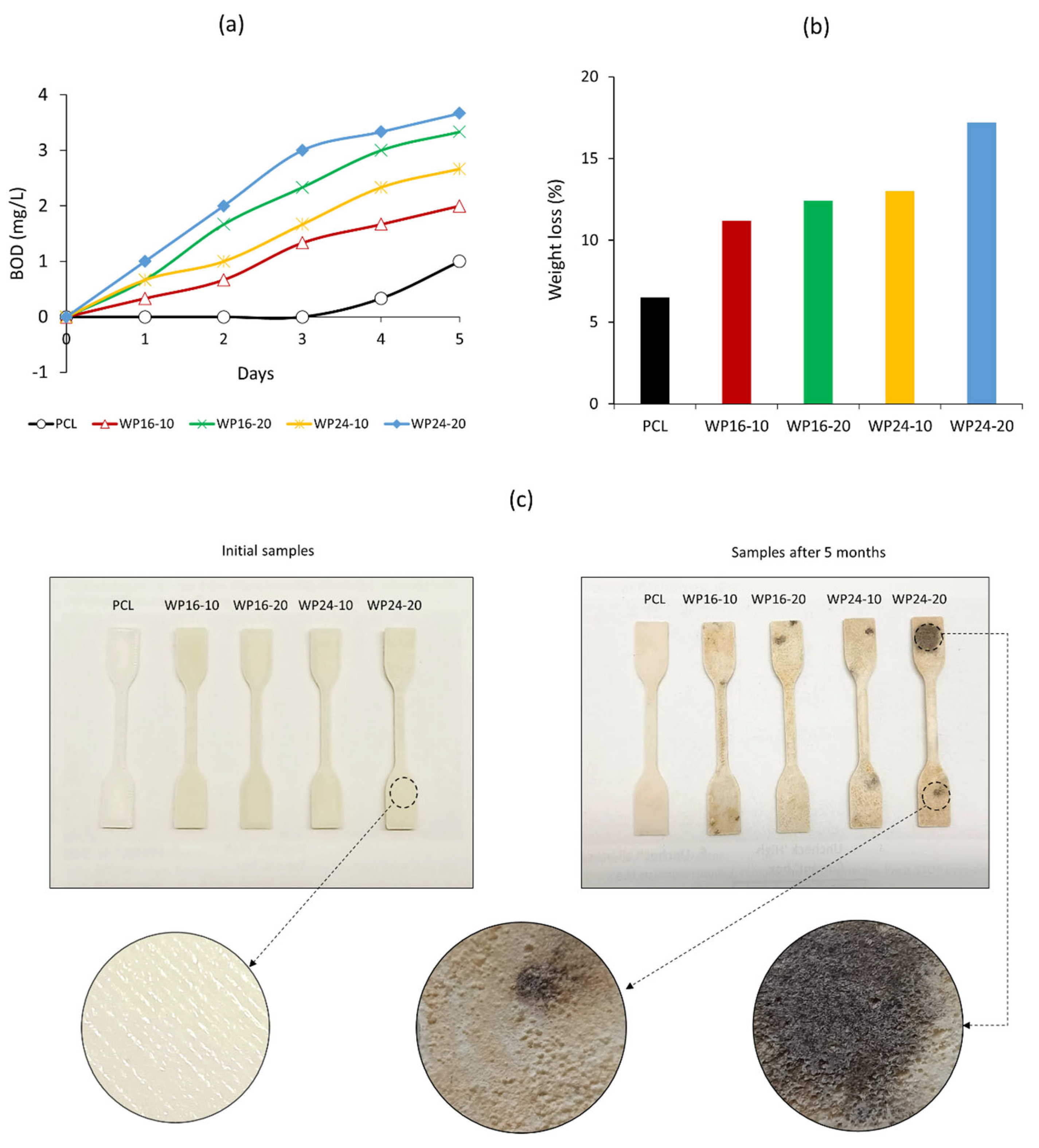 Polymers 15 03439 g010