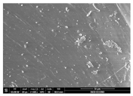 Polymers 15 03441 i007