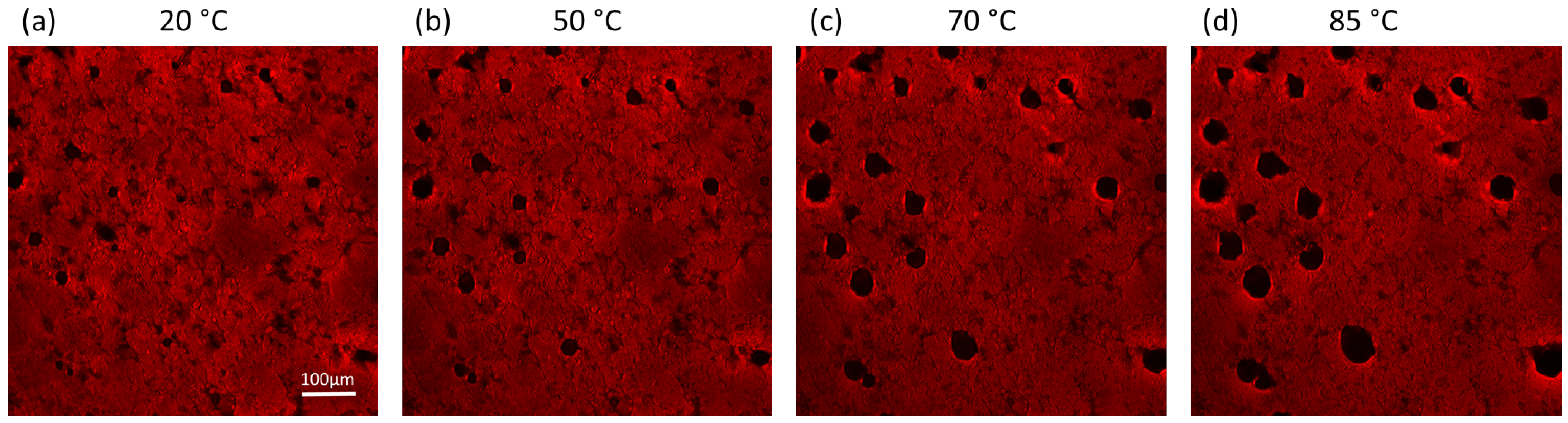 Polymers 15 03442 g005 Polymers 15 03442 g005