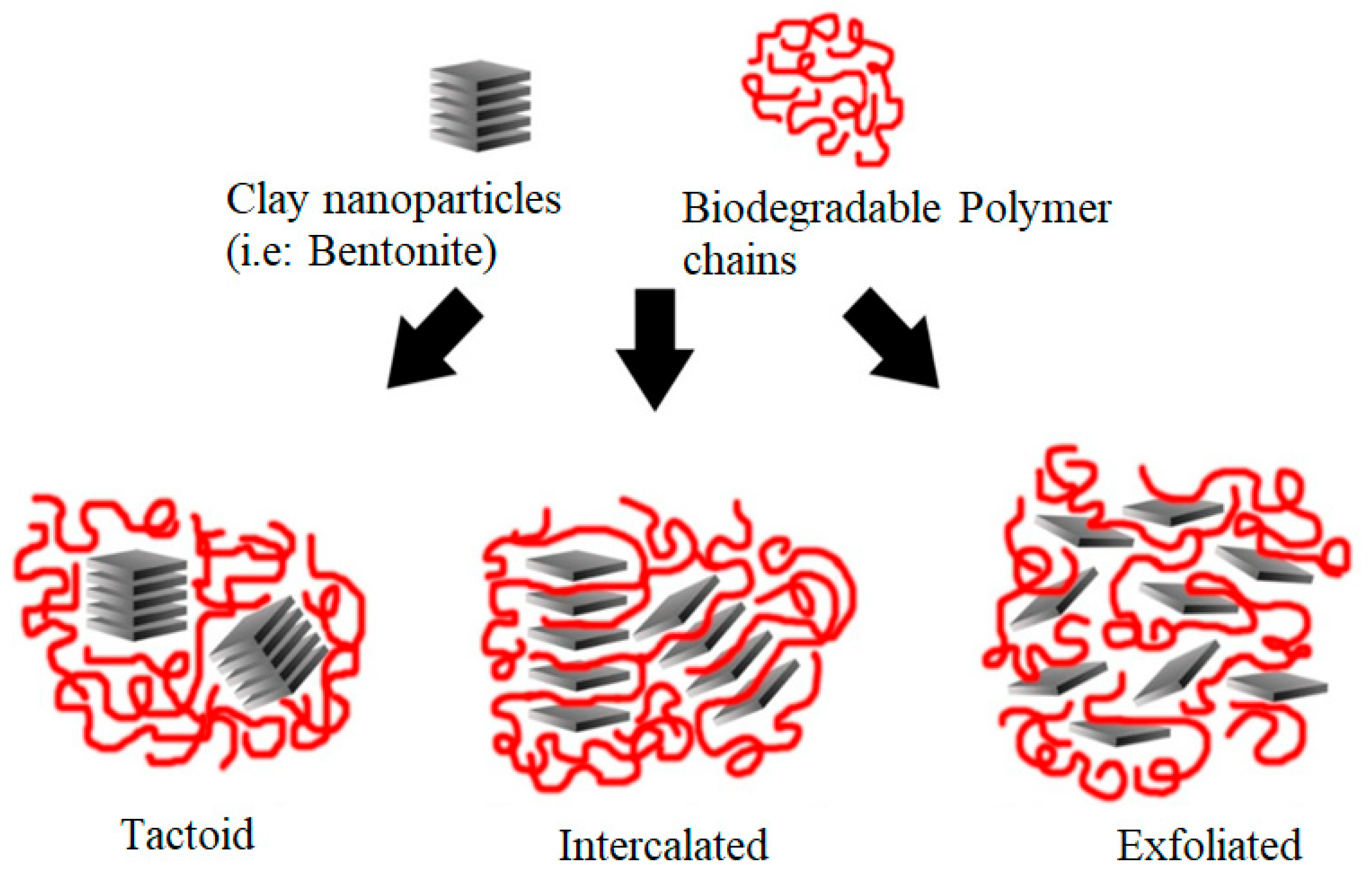 Polymers 15 03443 g001