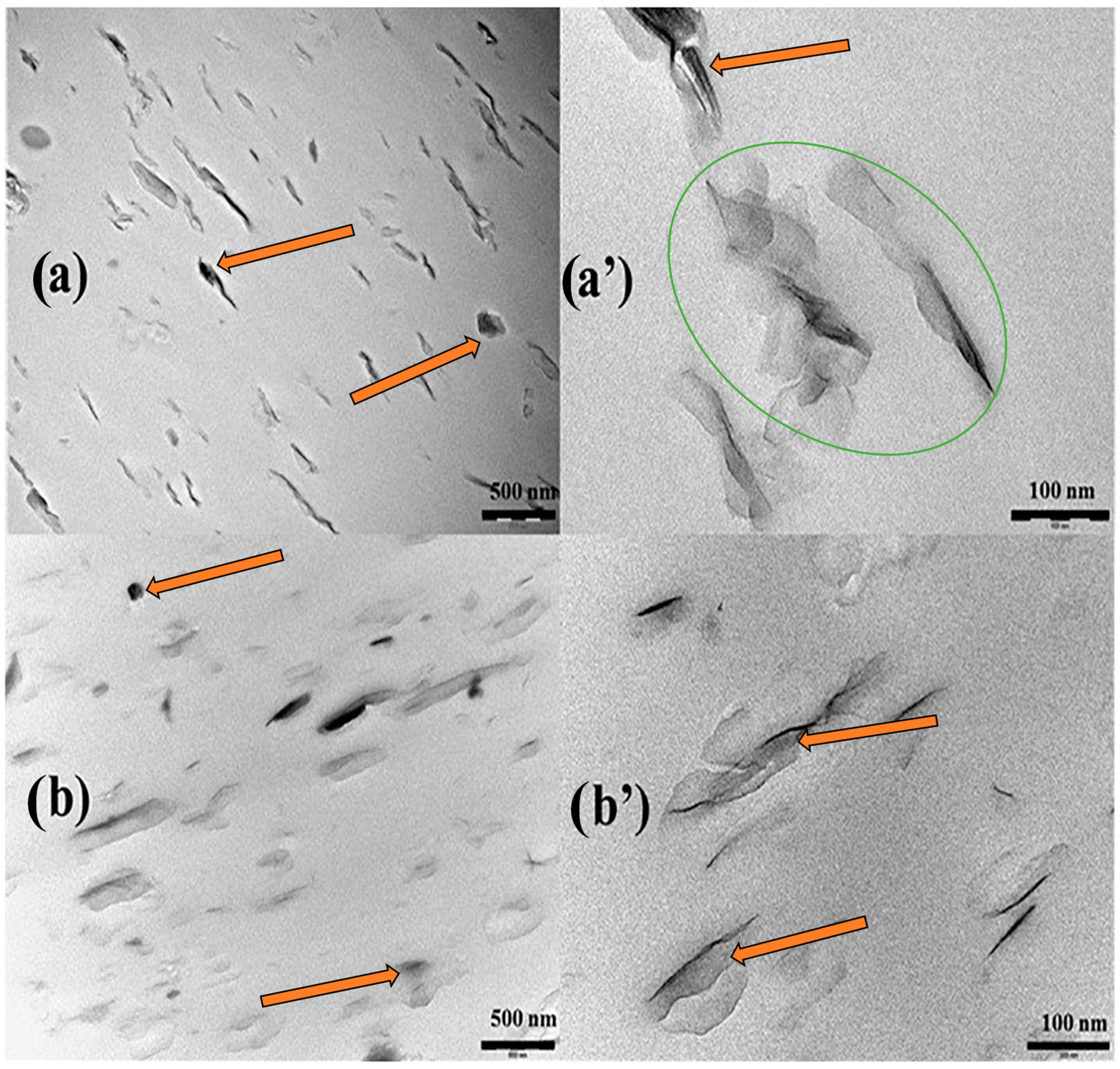 Polymers 15 03443 g008