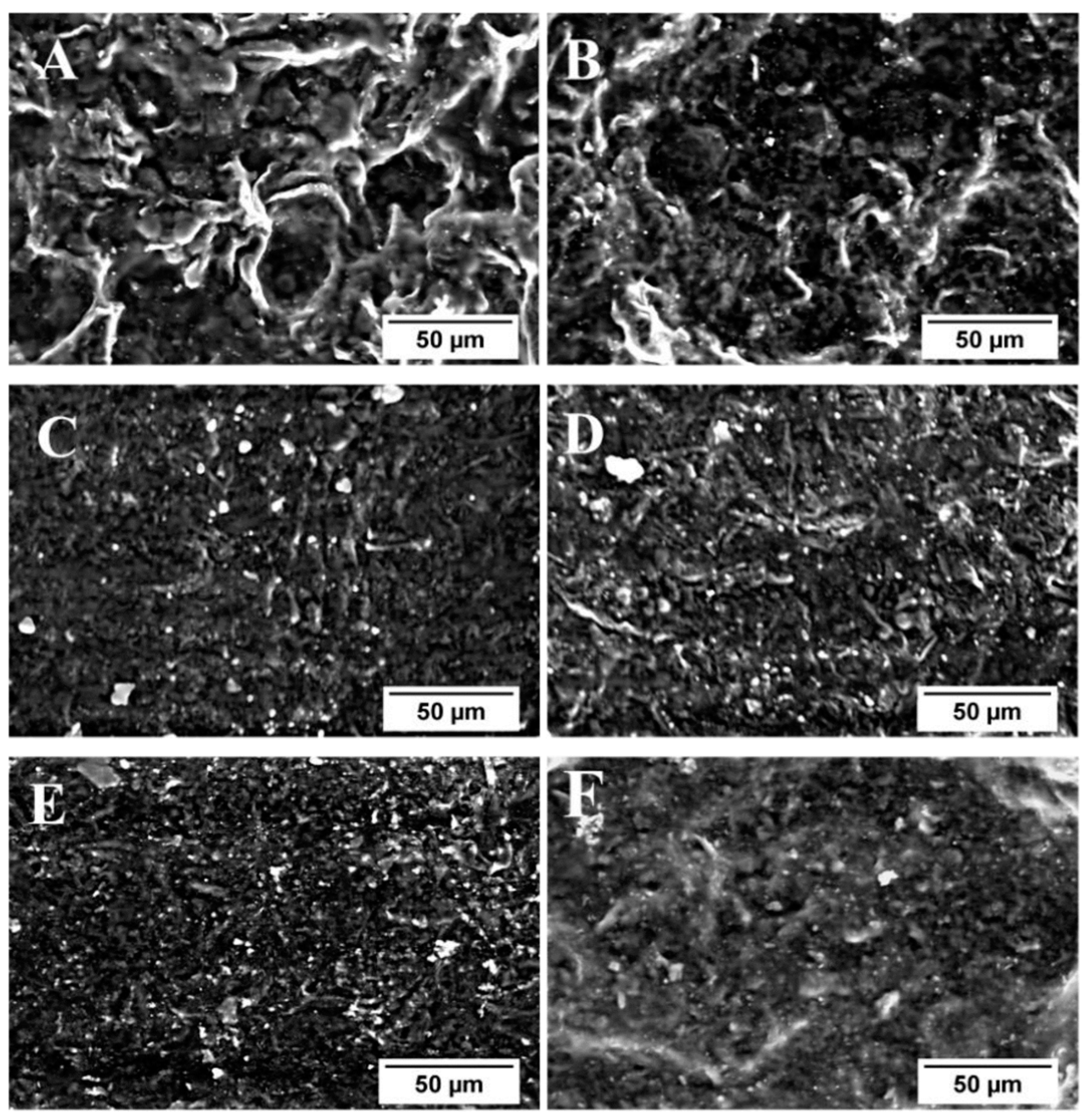 Polymers 15 03443 g010