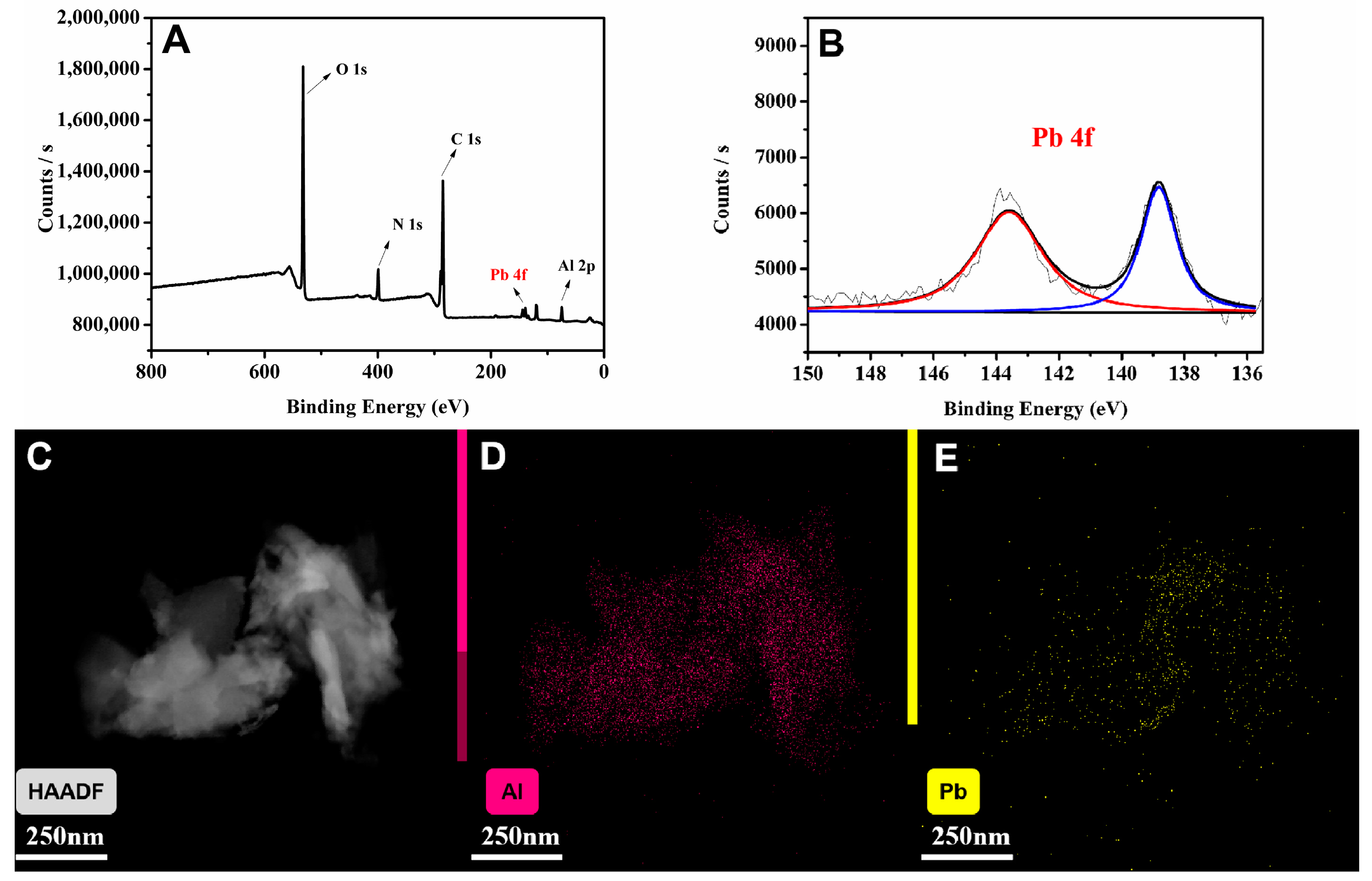 Polymers 15 03444 g007