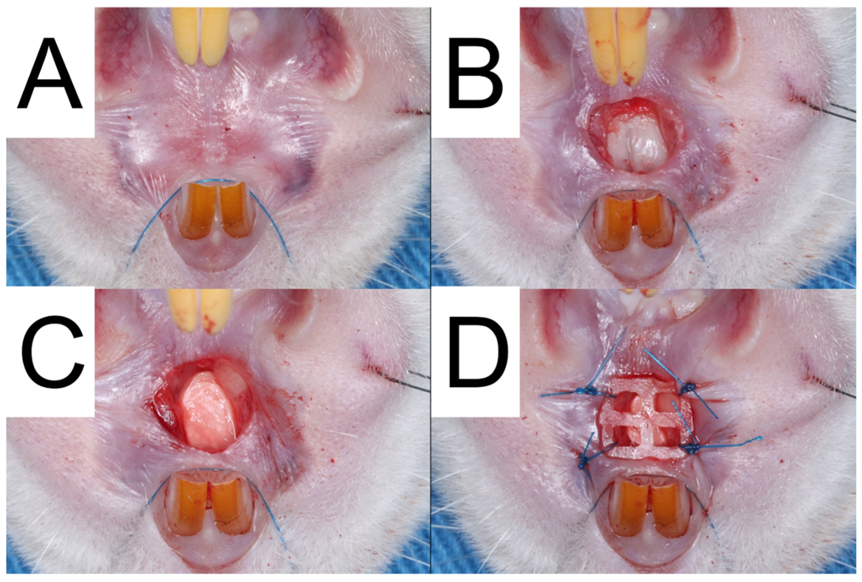 Polymers 15 03445 g002