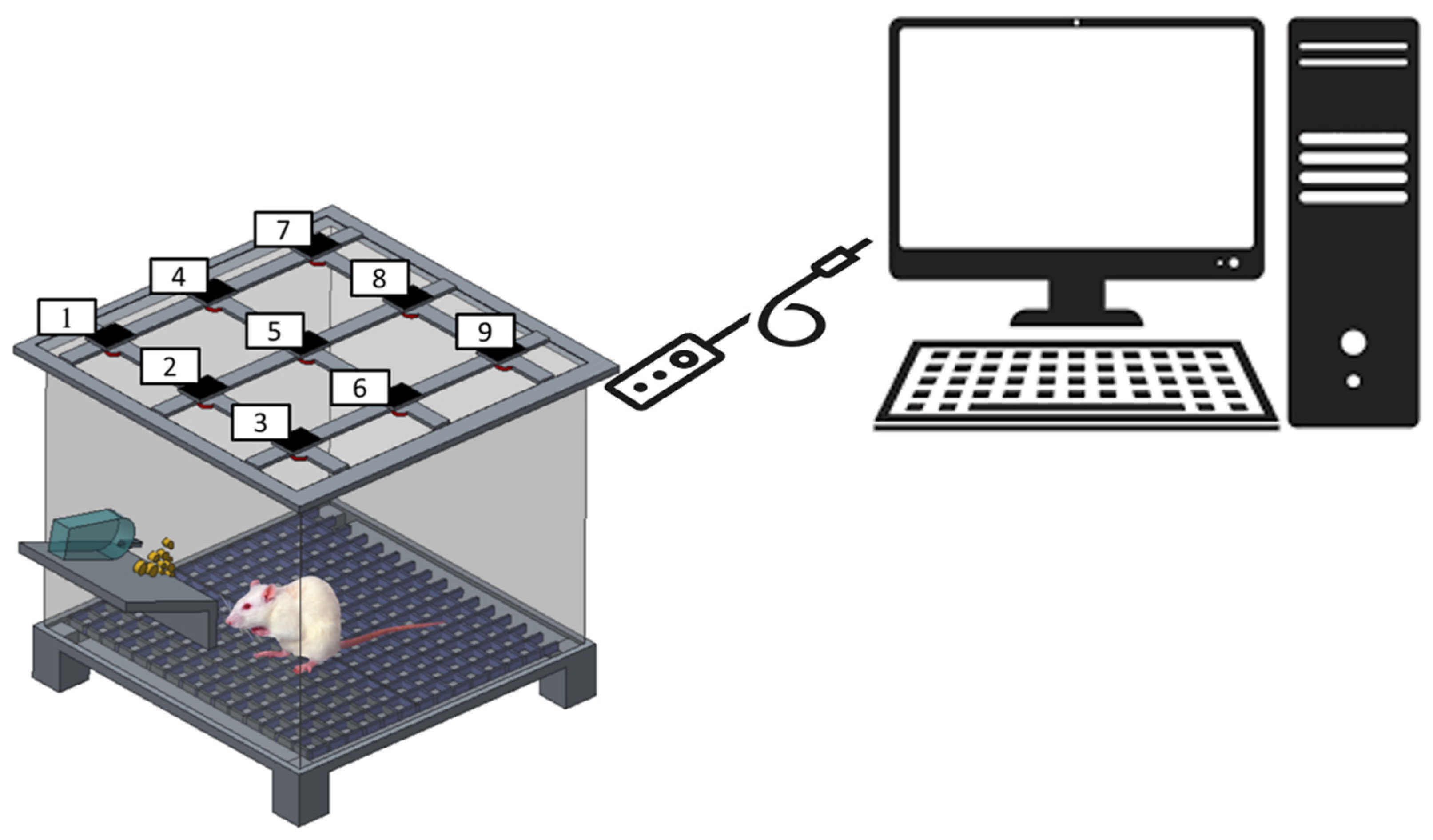 Polymers 15 03445 g003