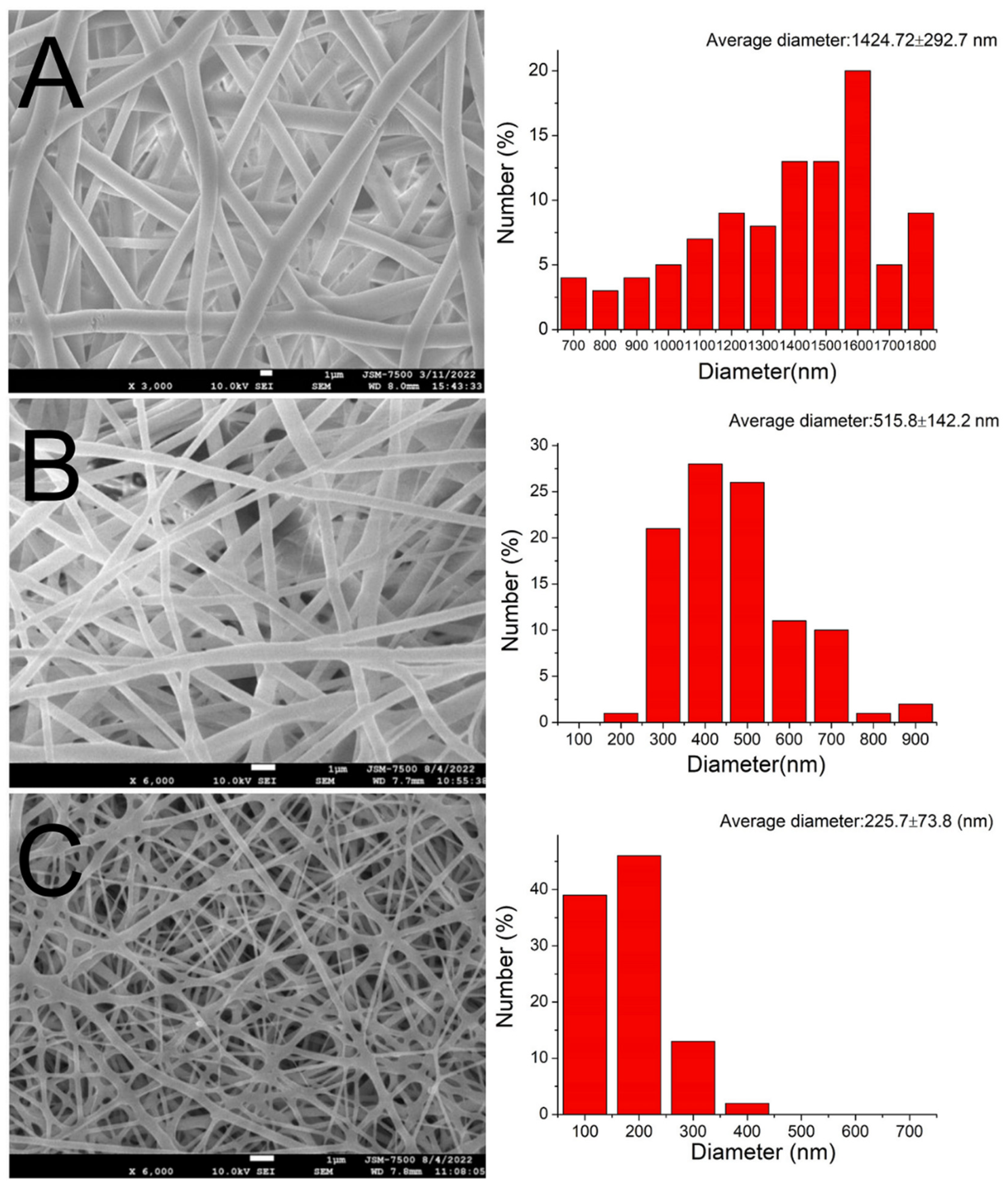 Polymers 15 03445 g004