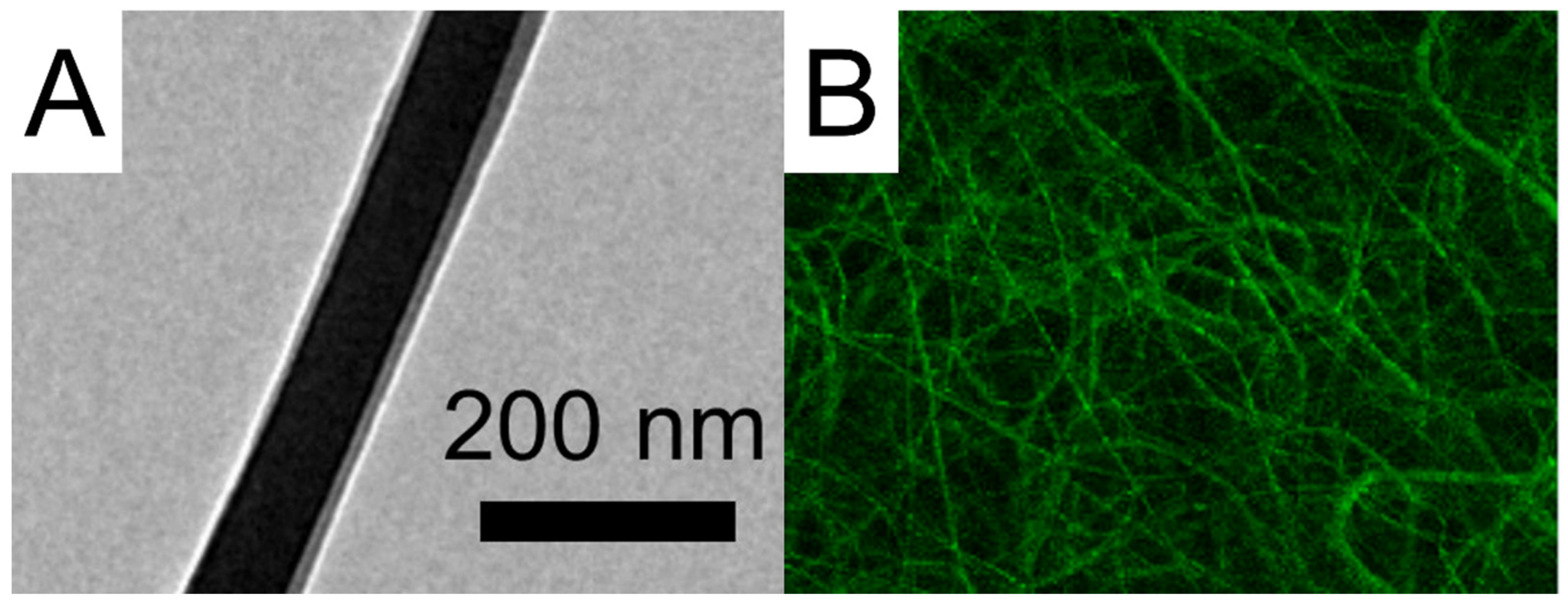 Polymers 15 03445 g005