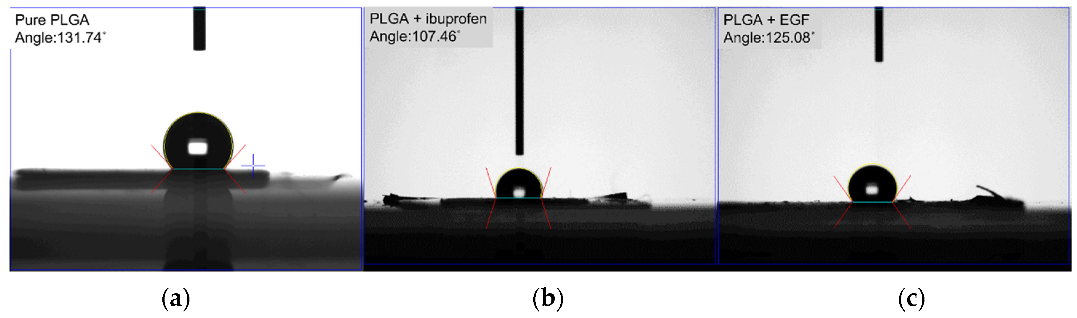 Polymers 15 03445 g007