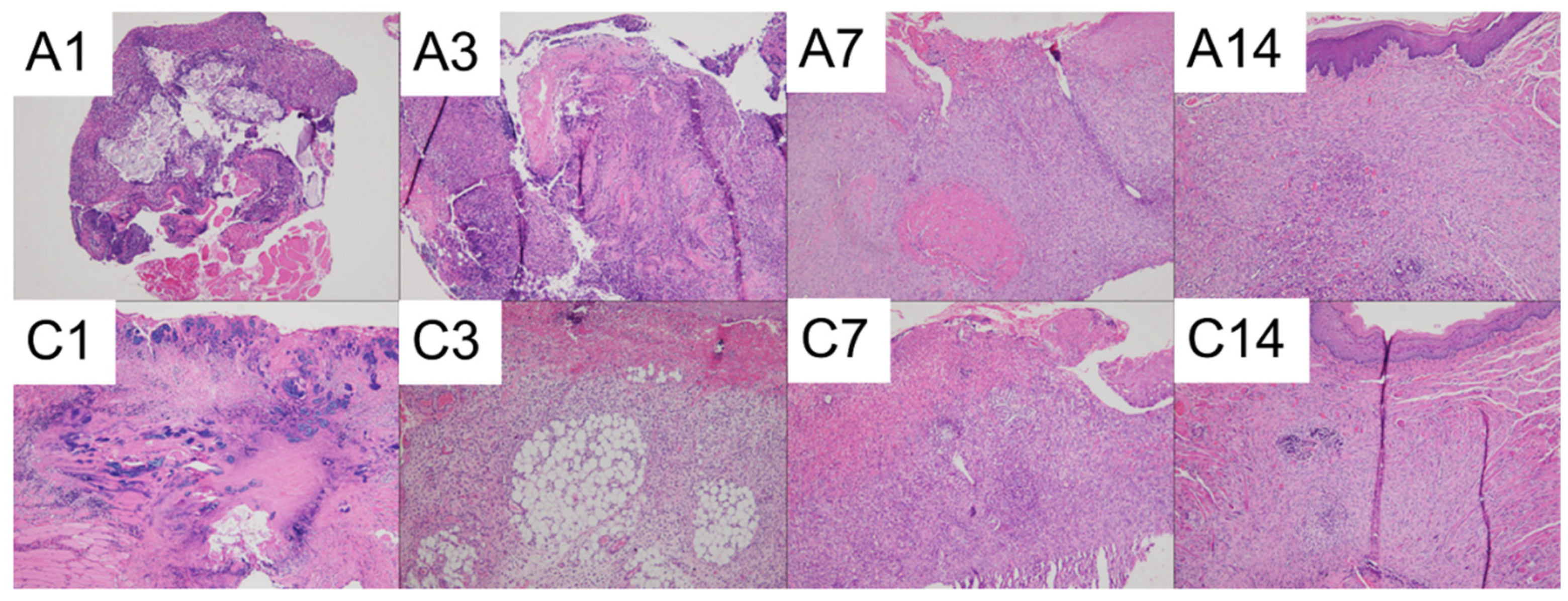 Polymers 15 03445 g015