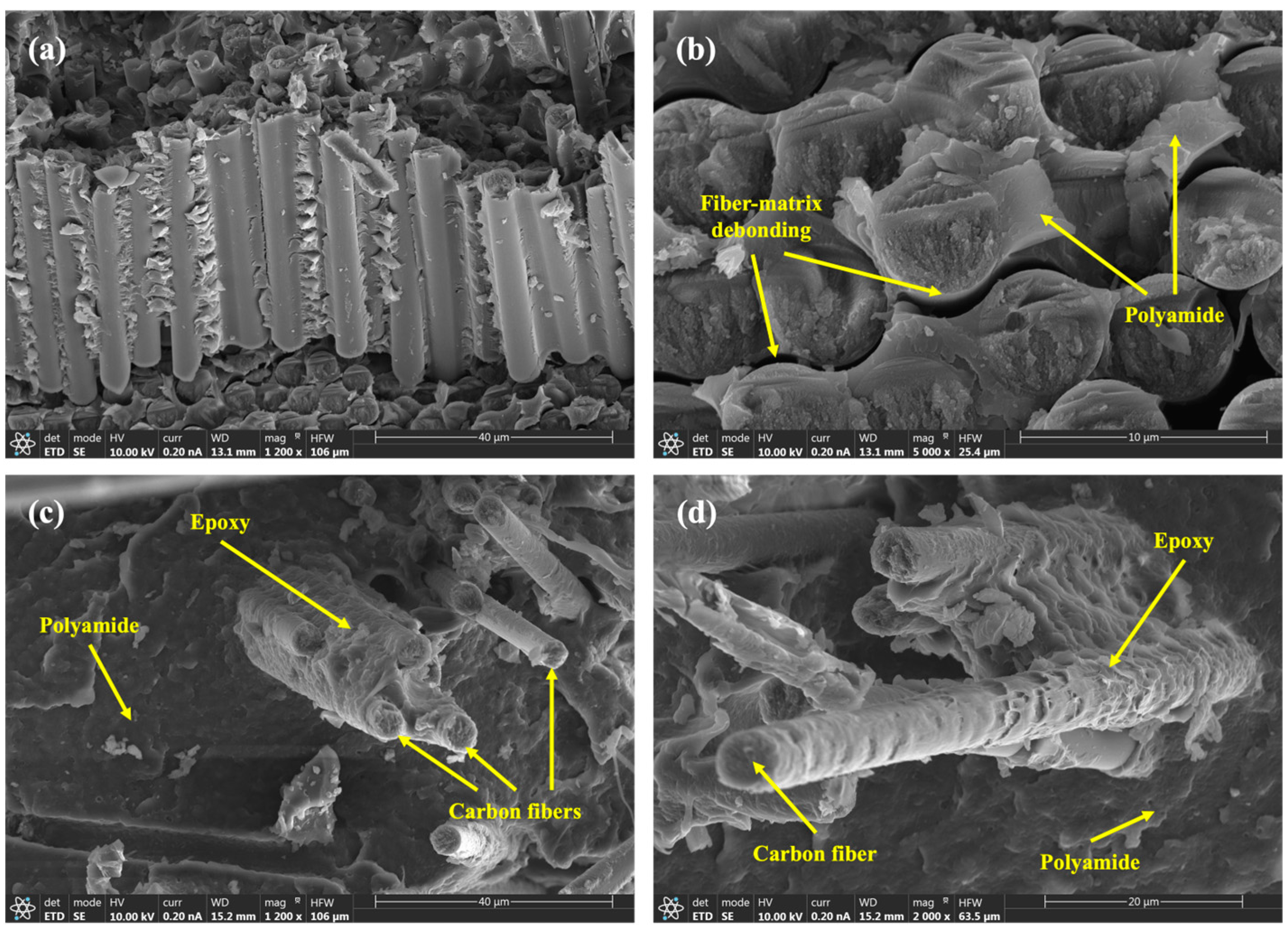 Polymers 15 03447 g003