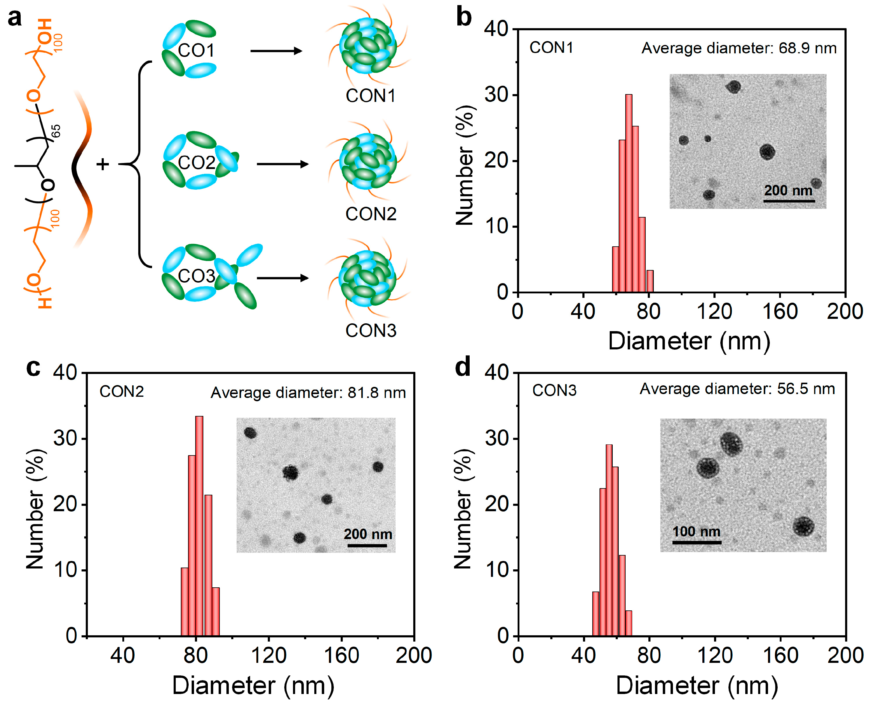 Polymers 15 03451 g003
