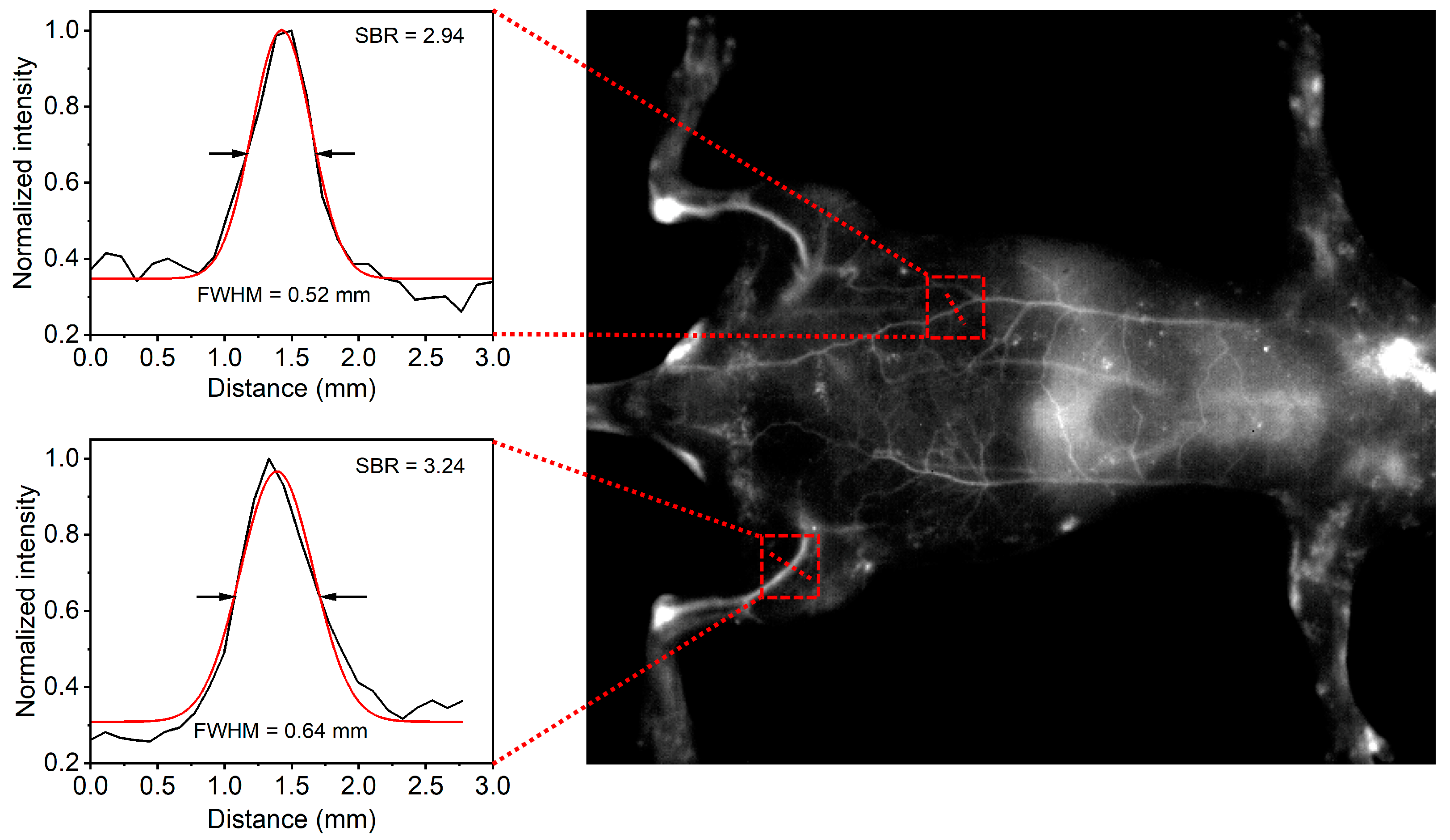 Polymers 15 03451 g005
