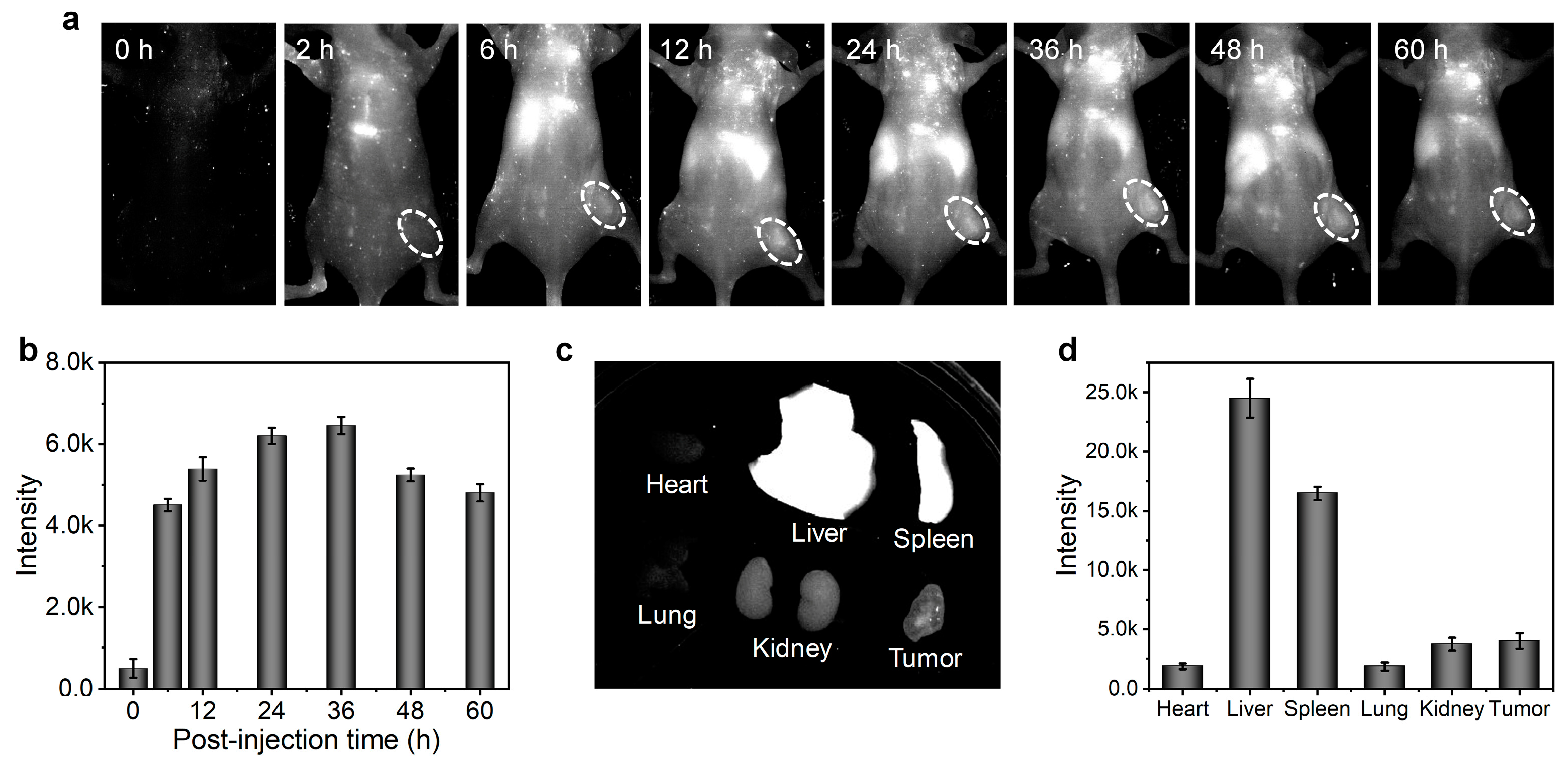 Polymers 15 03451 g006