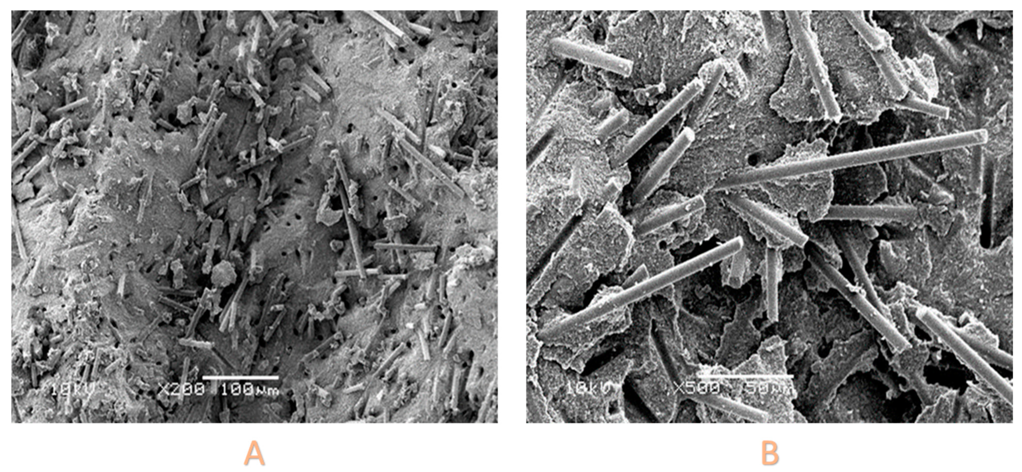 Polymers 15 03452 g002 Polymers 15 03452 g002
