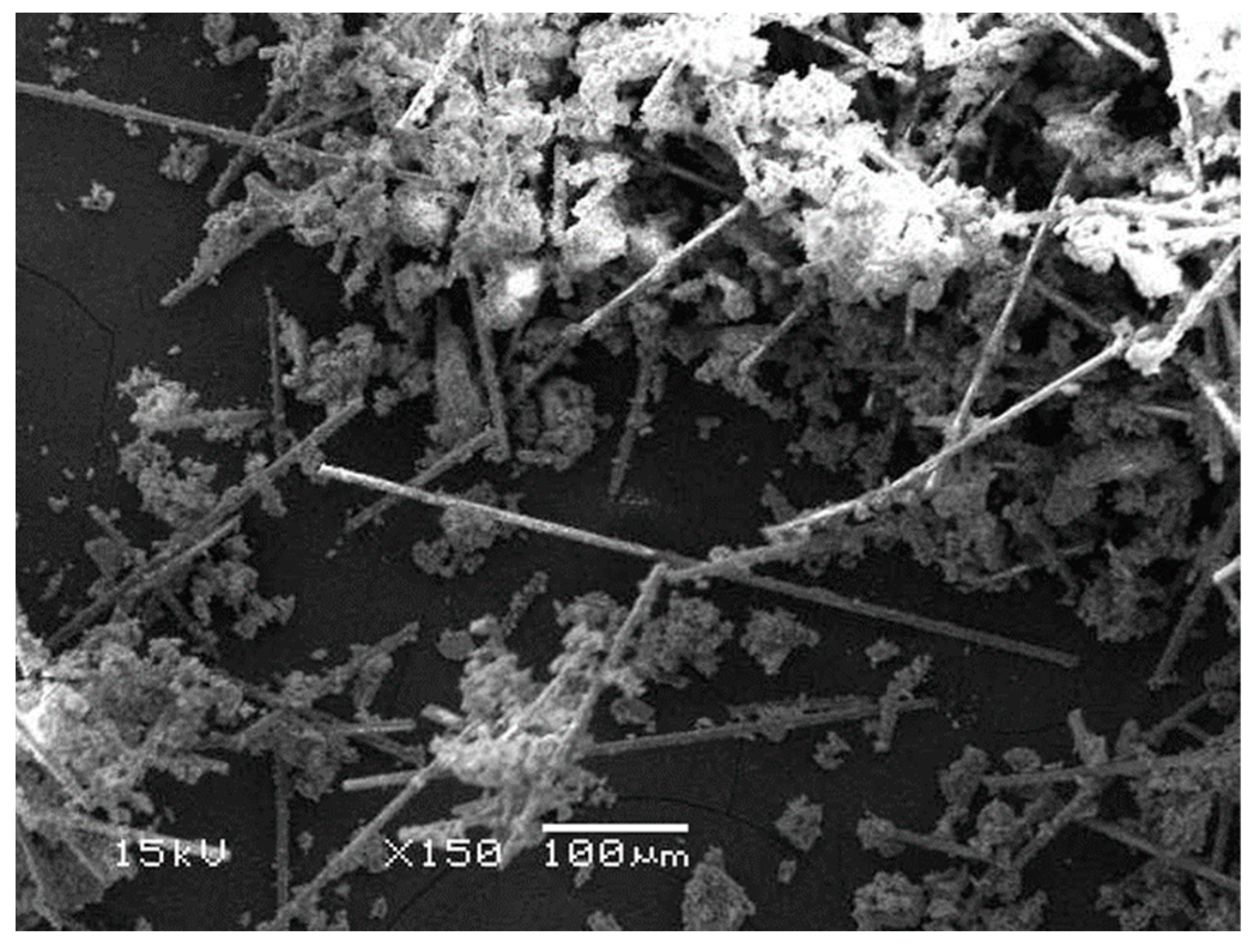 Polymers 15 03452 g003 Polymers 15 03452 g003