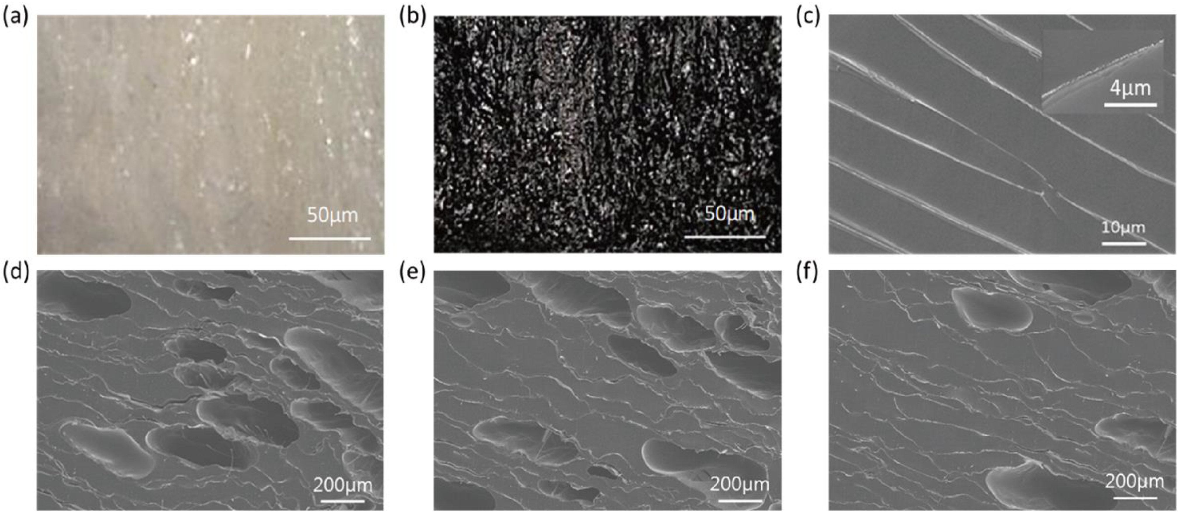 Polymers 15 03454 g002