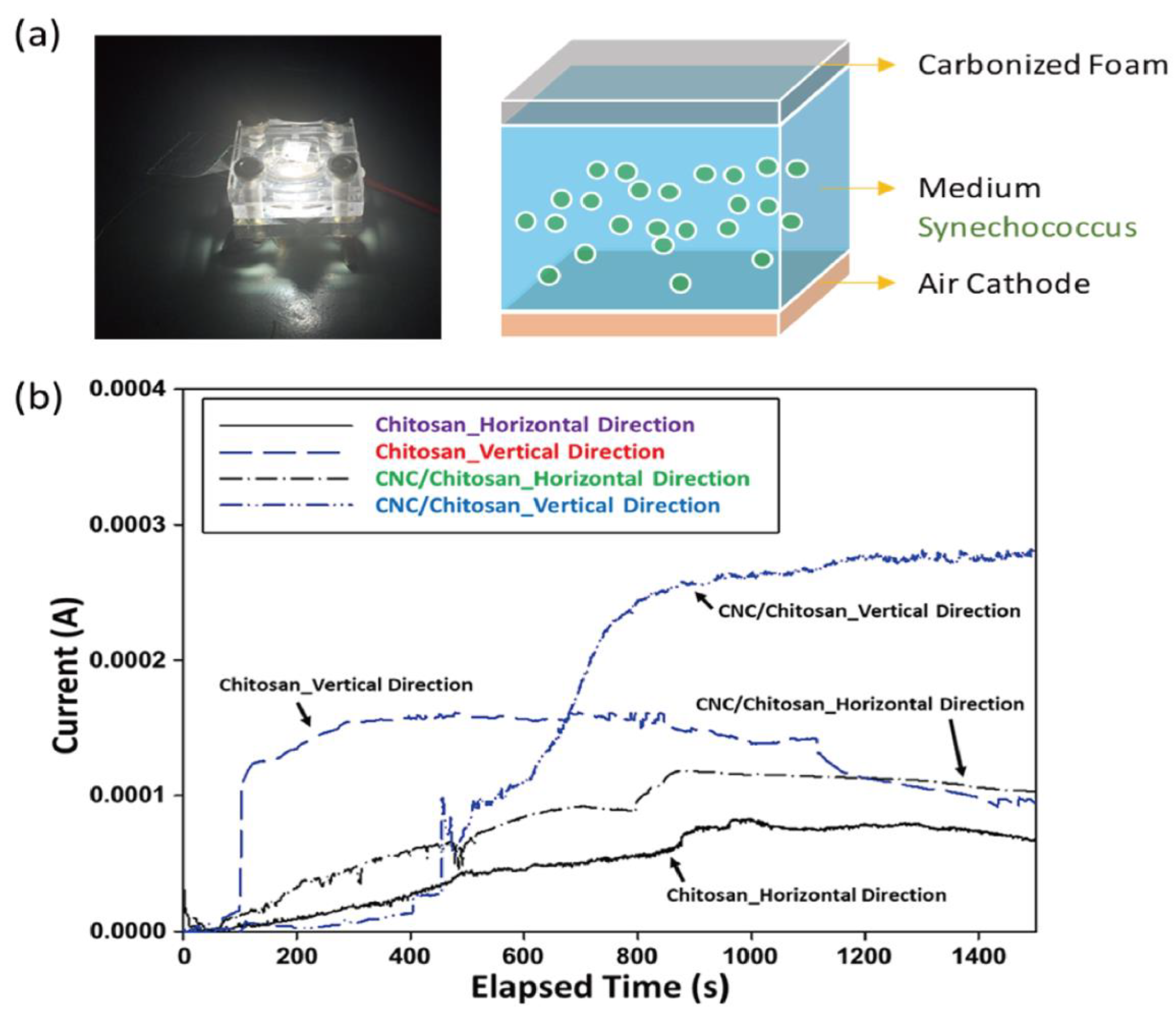 Polymers 15 03454 g005