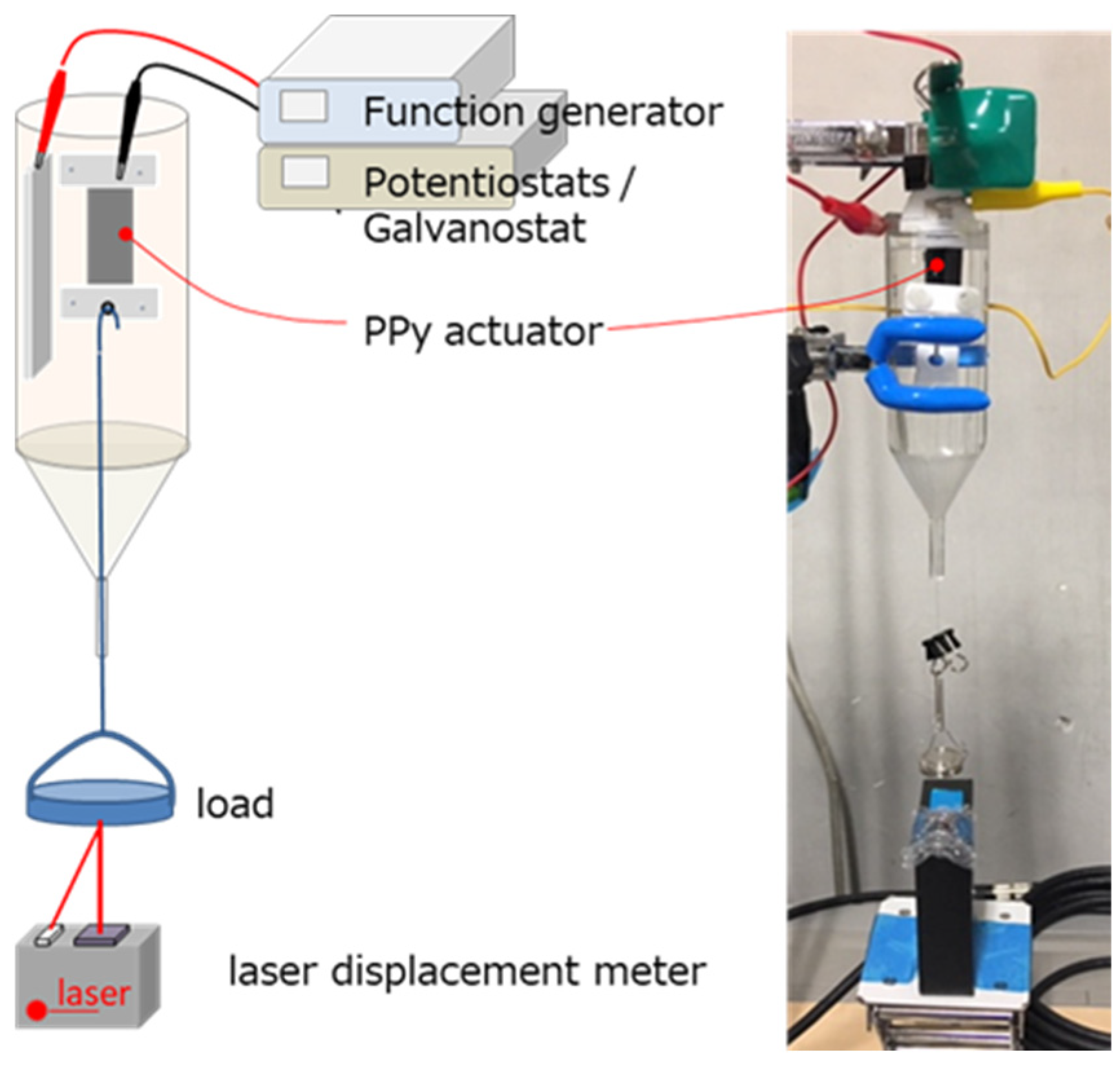 Polymers 15 03455 g002
