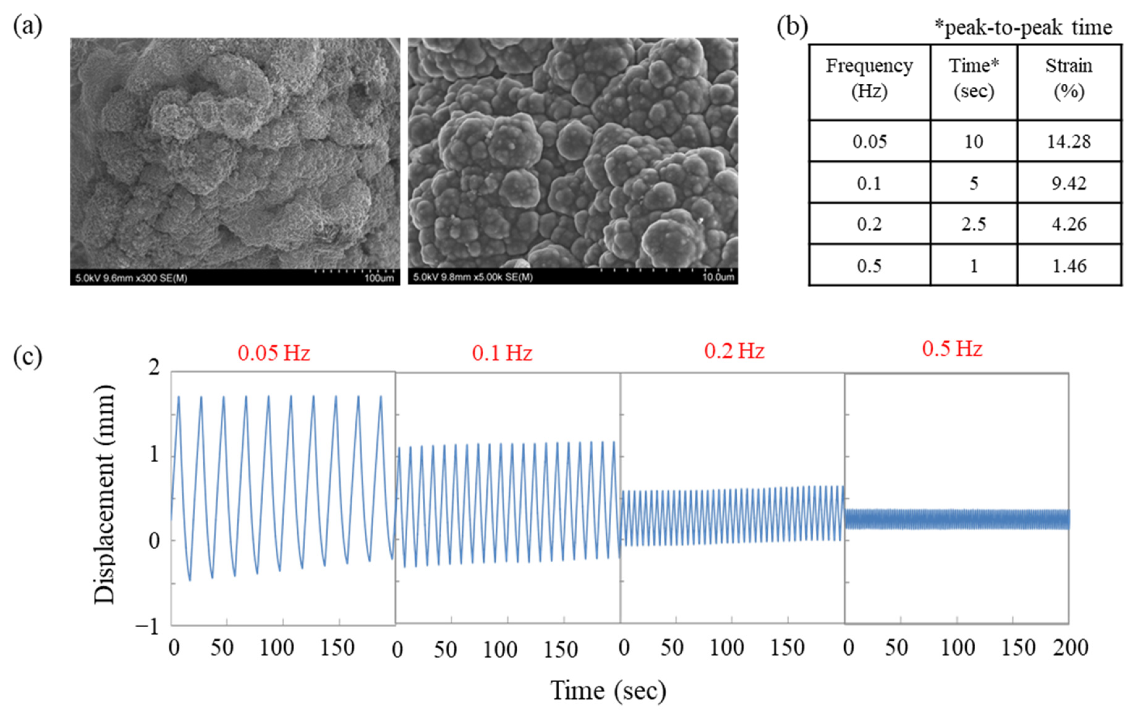 Polymers 15 03455 g004